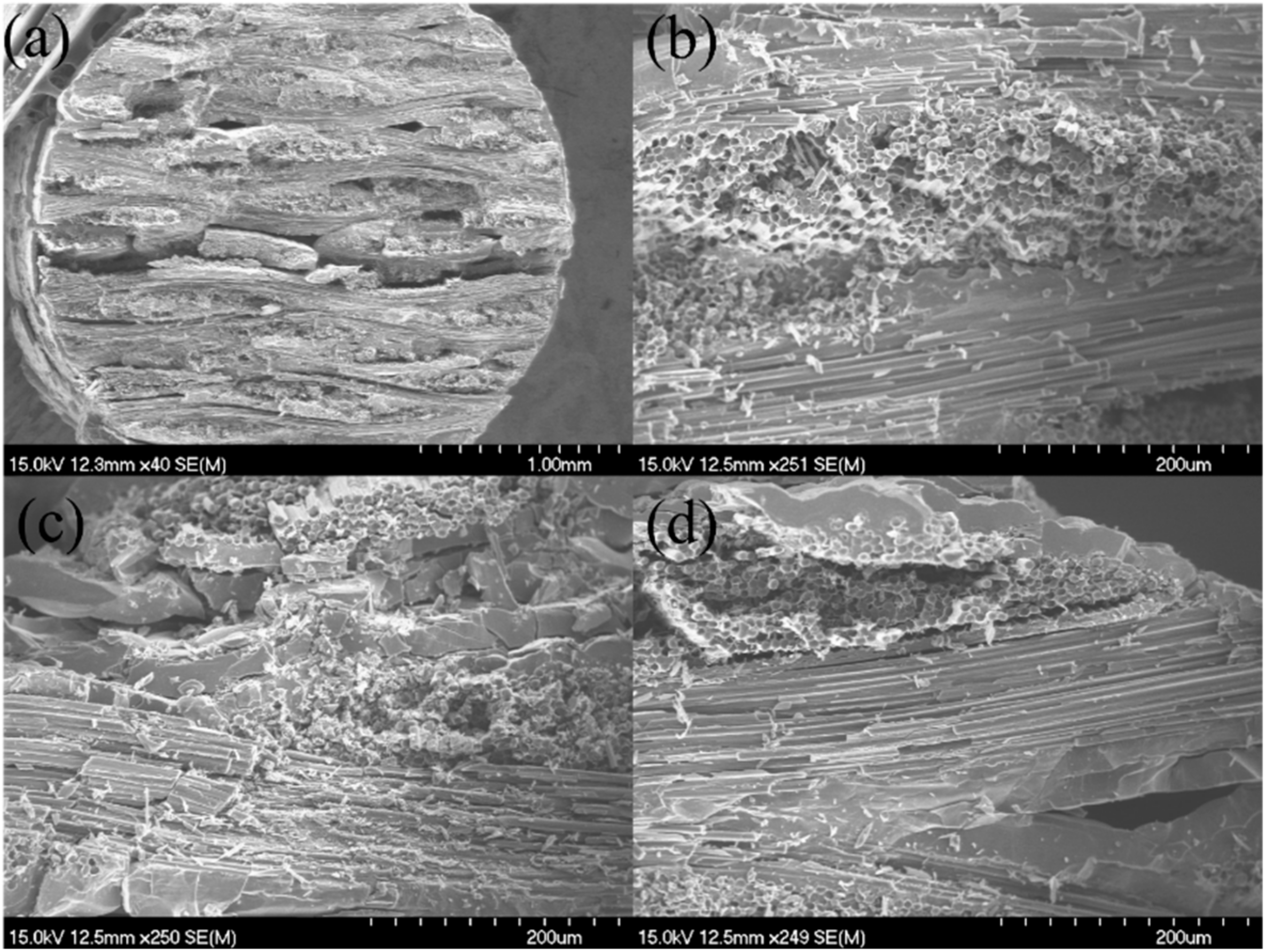 Materials 15 02338 g011