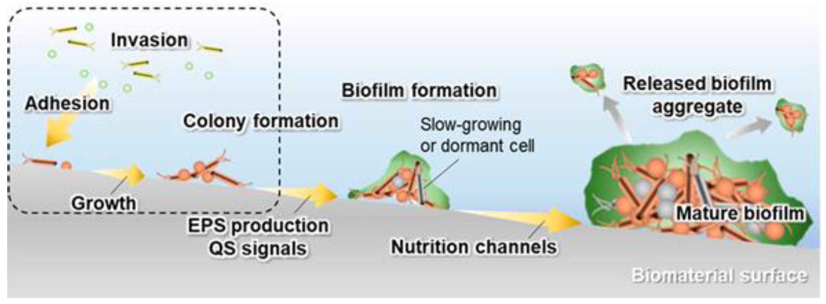 Materials 15 02342 g001 Materials 15 02342 g001