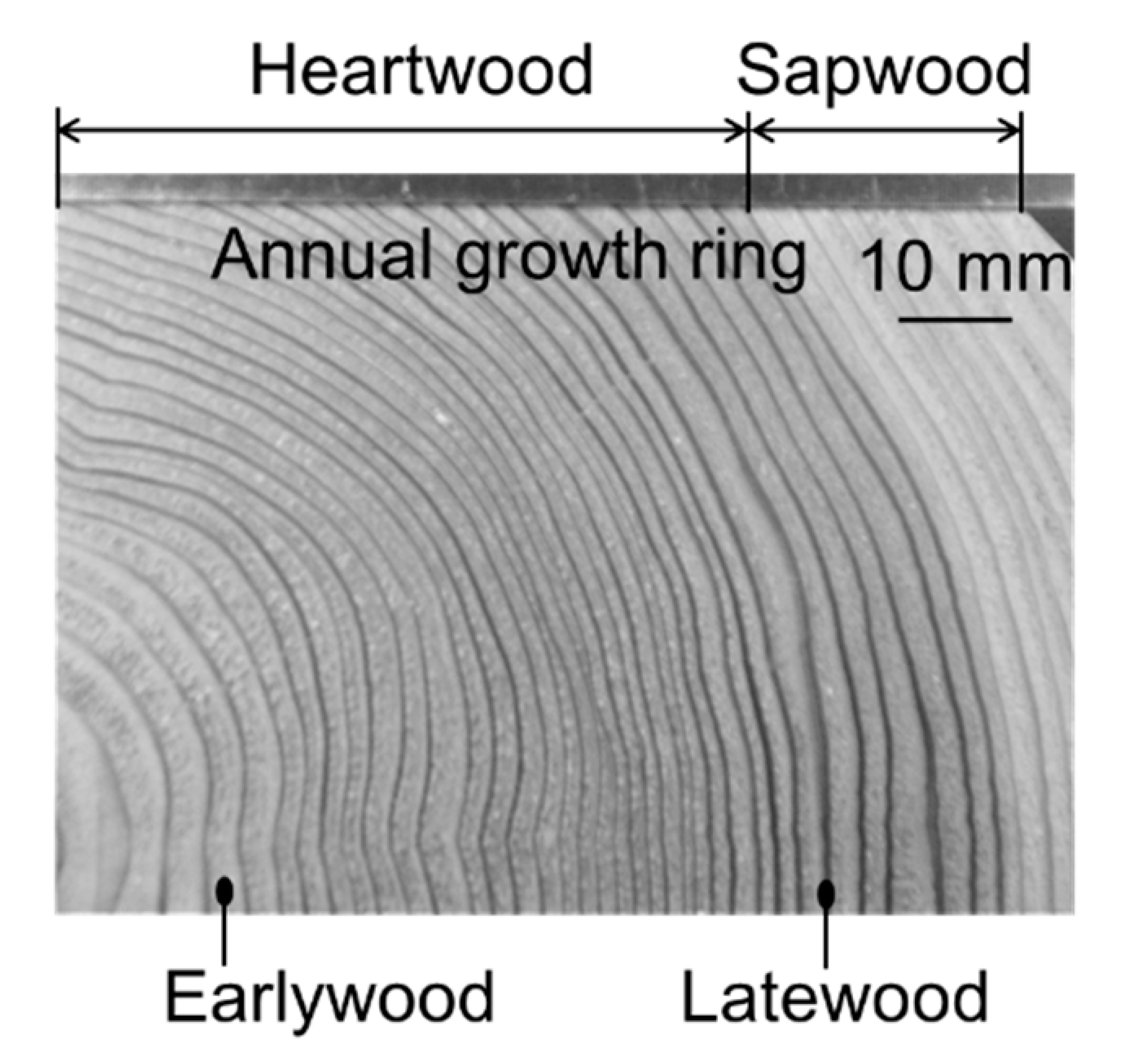 Materials 15 02347 g002