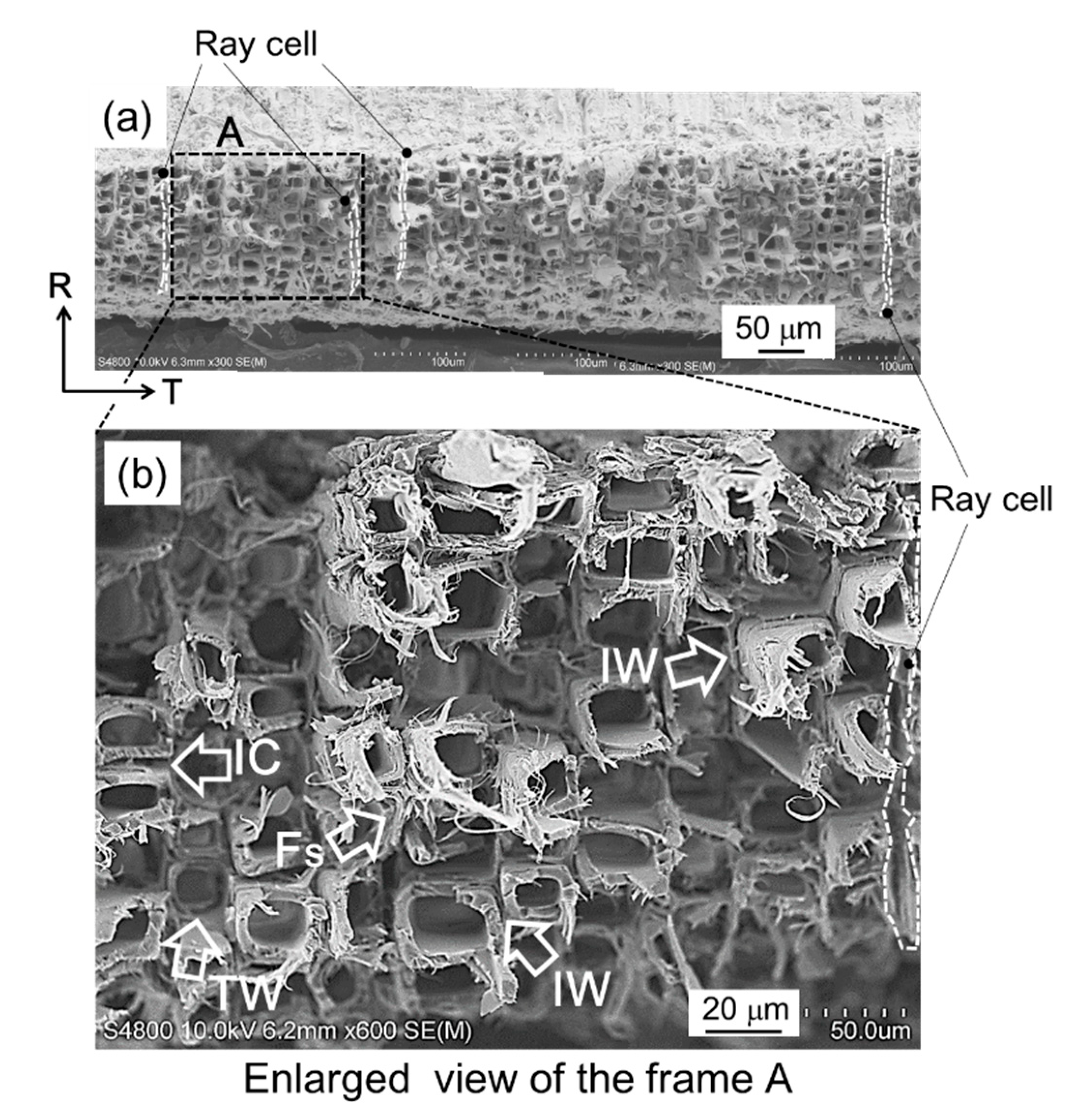 Materials 15 02347 g012