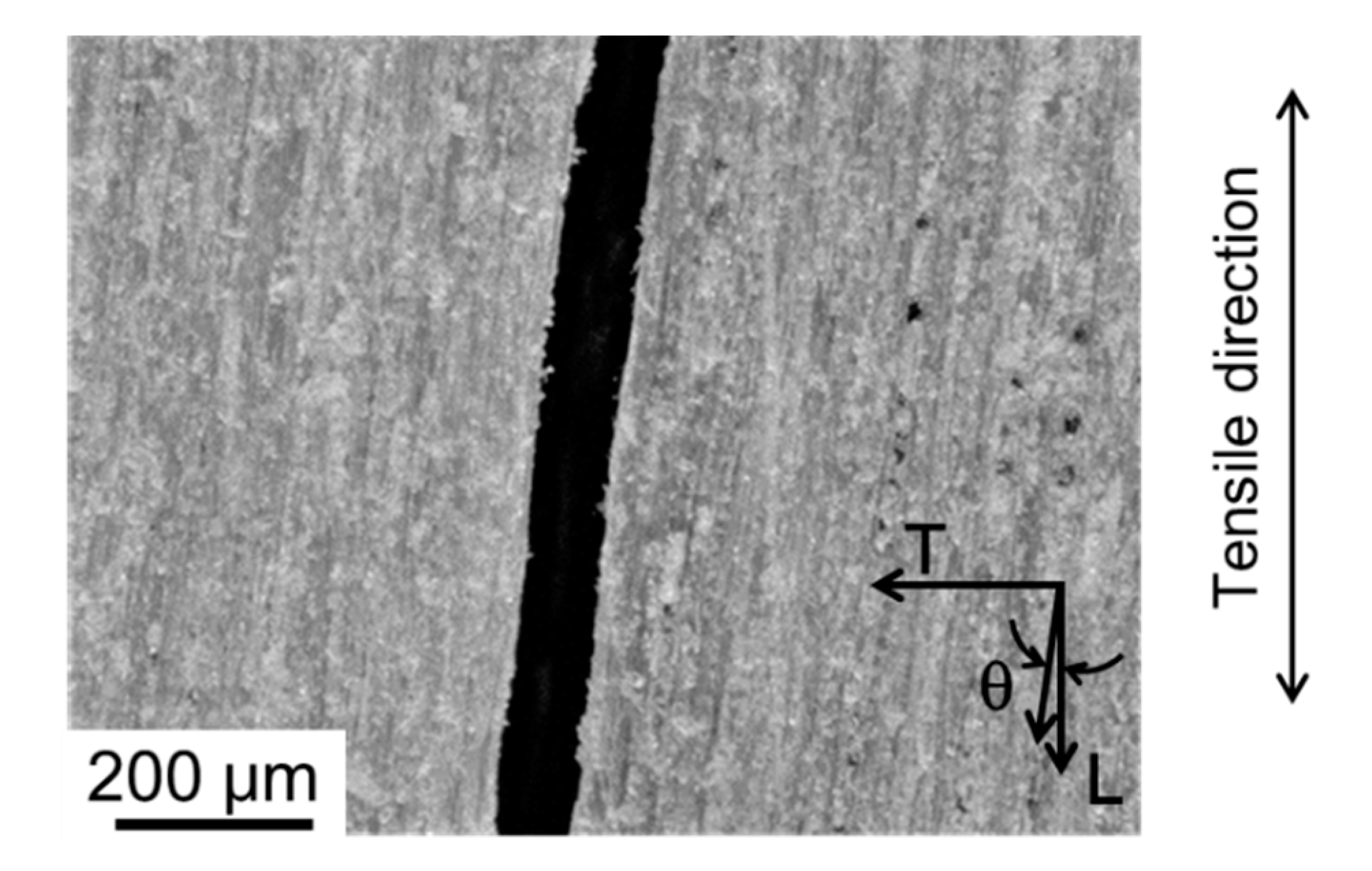 Materials 15 02347 g013