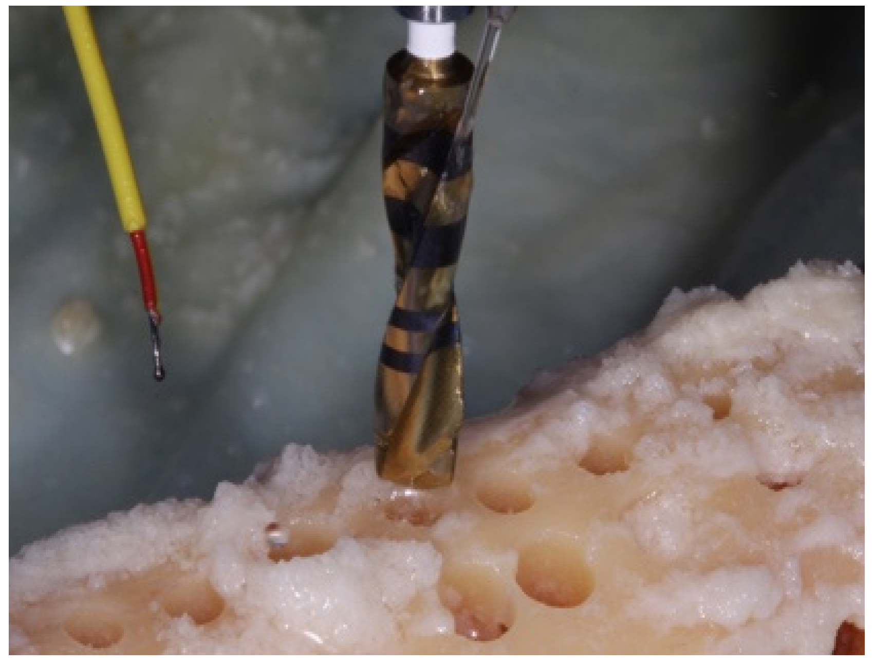 Materials 15 02369 g007 550