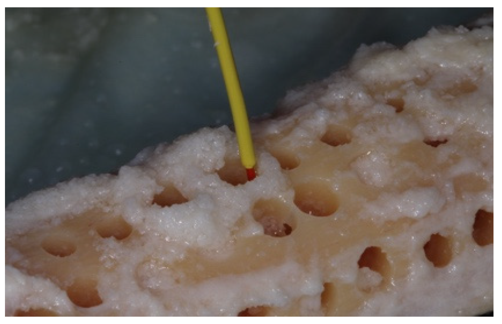 Materials 15 02369 g008 550