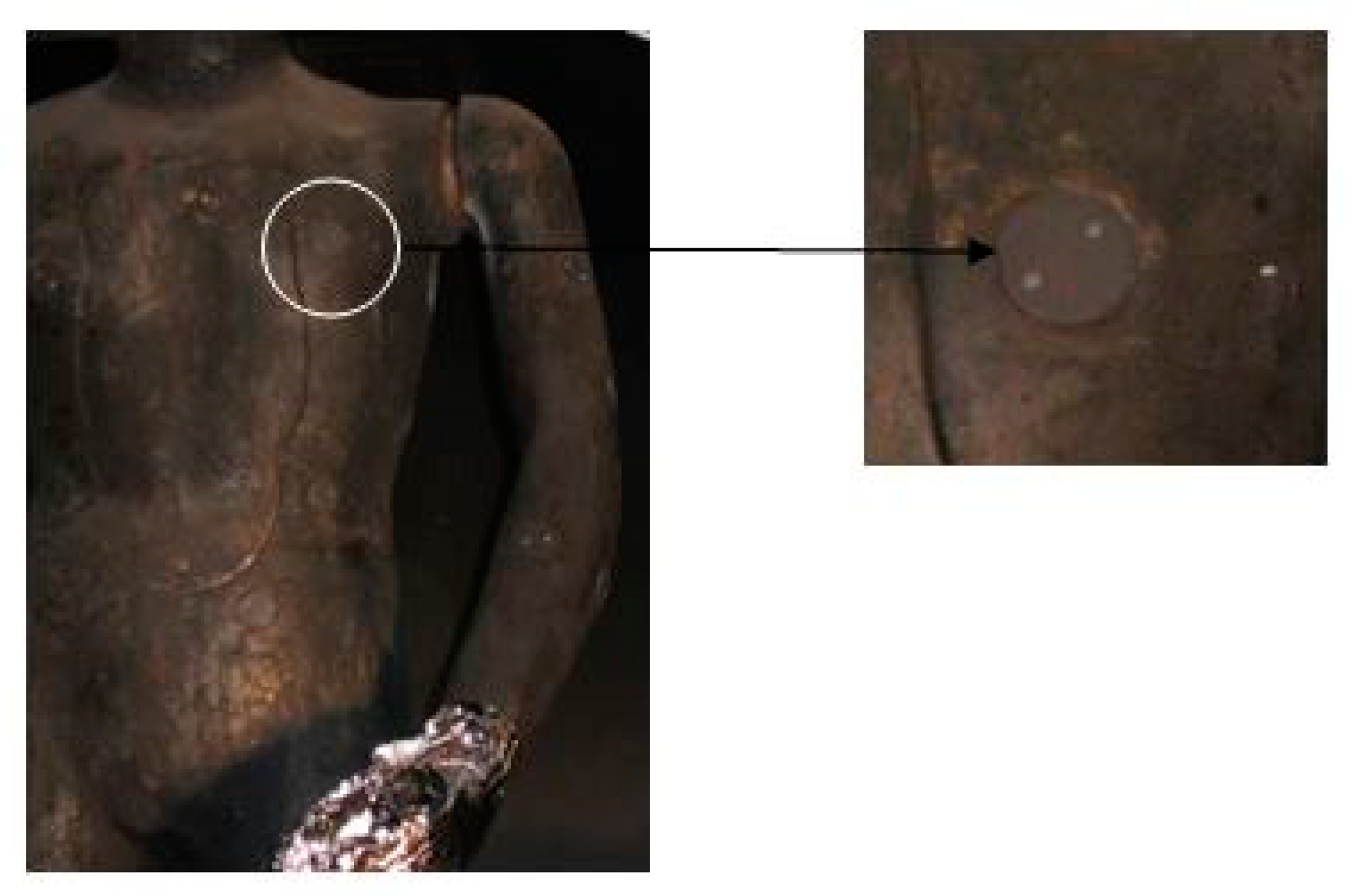 Materials 15 02384 g004 550