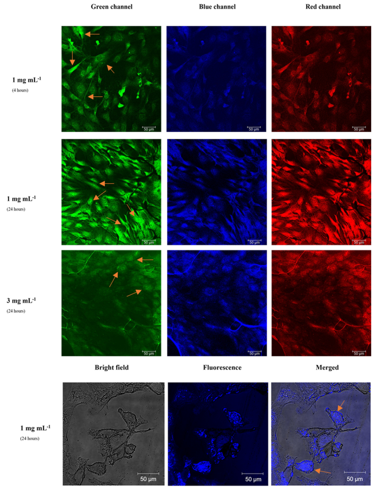 Materials 15 02395 g008