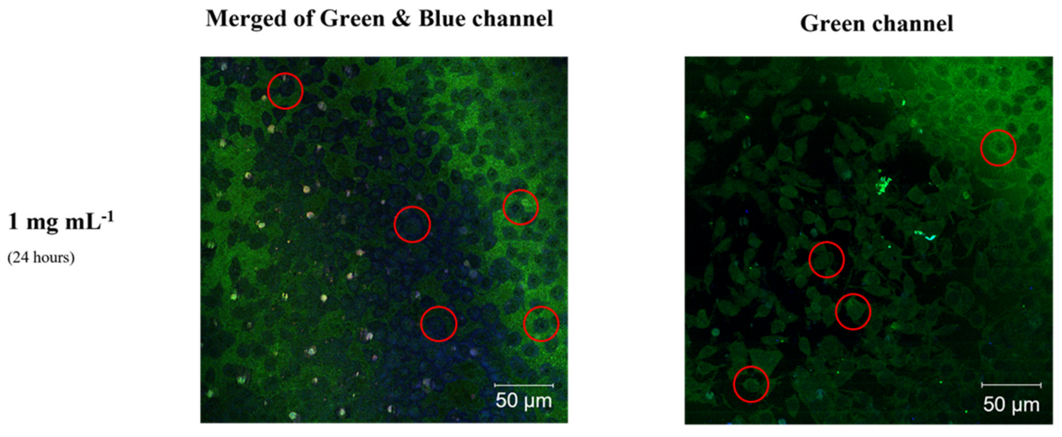 Materials 15 02395 g010