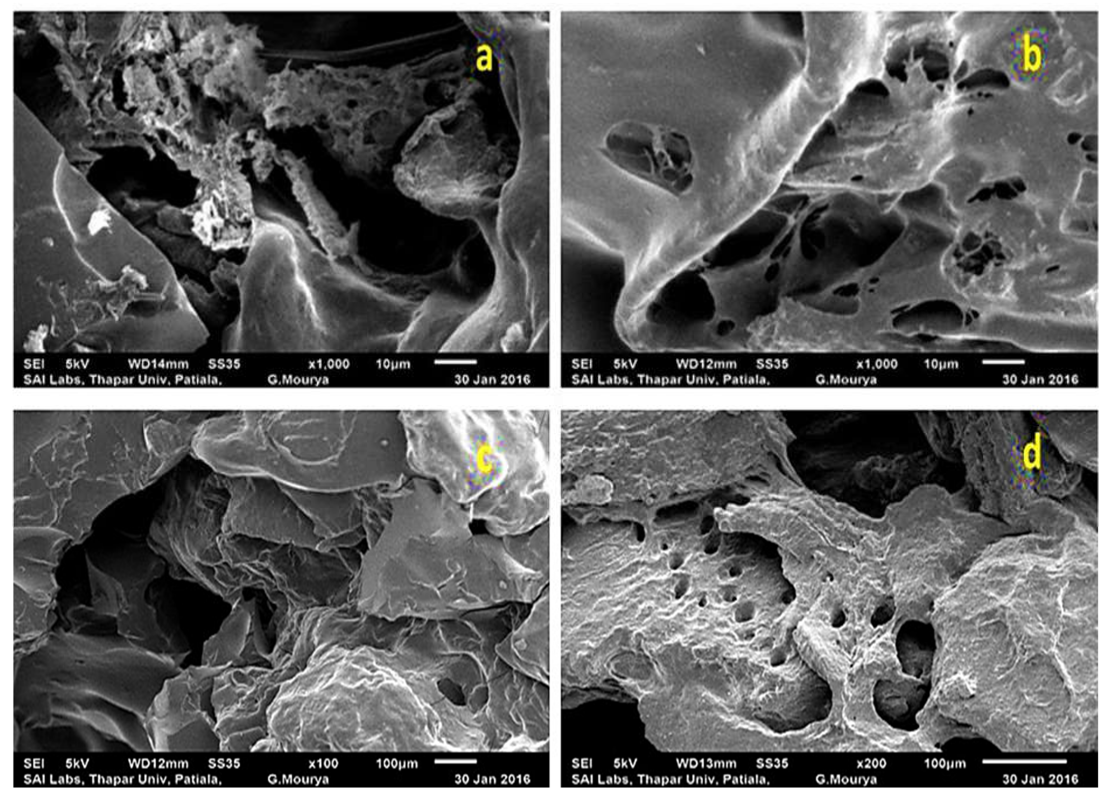 Materials 15 02404 g004