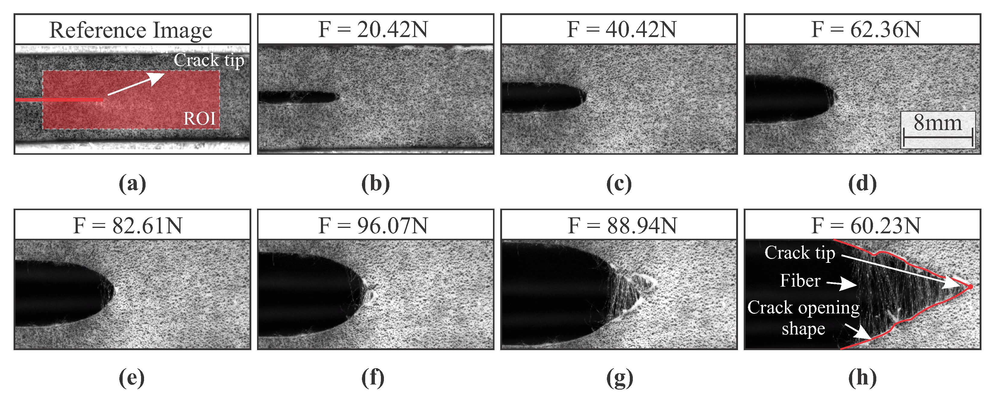 Materials 15 02413 g007