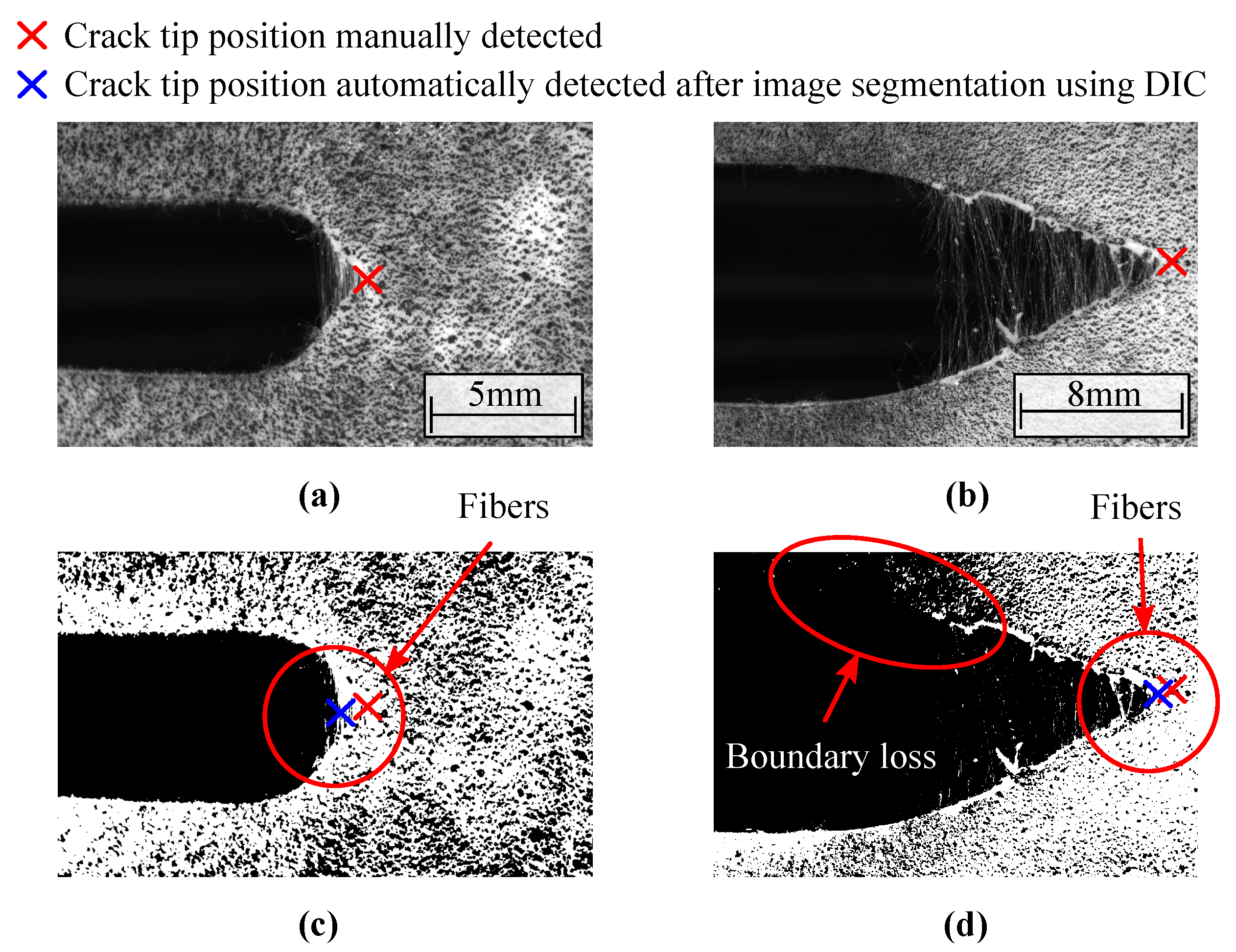 Materials 15 02413 g008