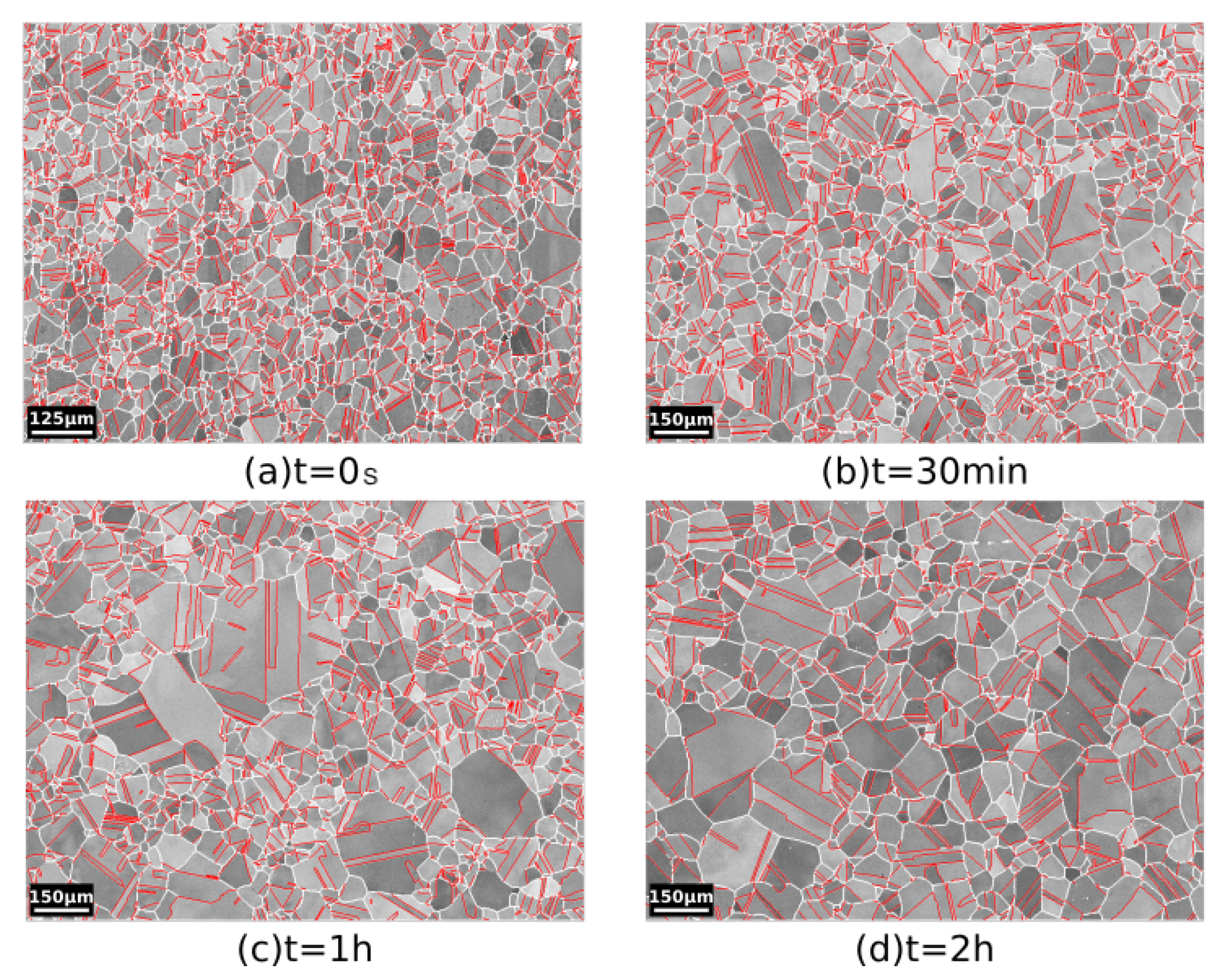 Materials 15 02434 g003