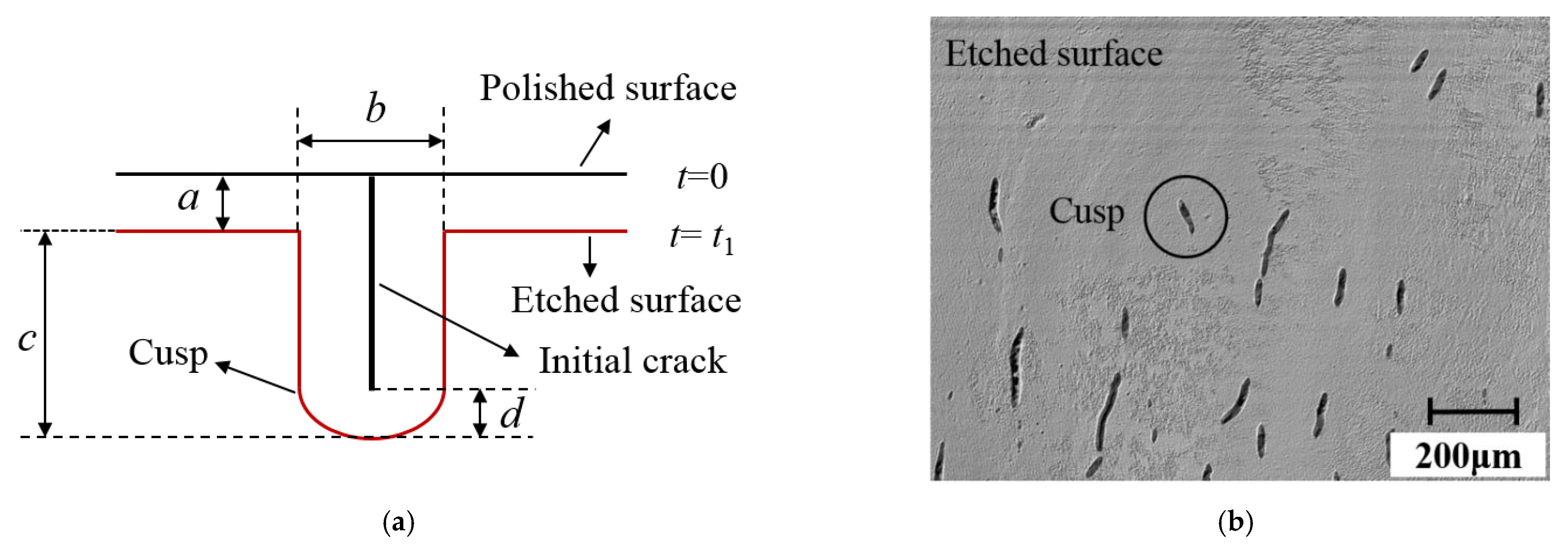 Materials 15 02443 g004 Materials 15 02443 g004