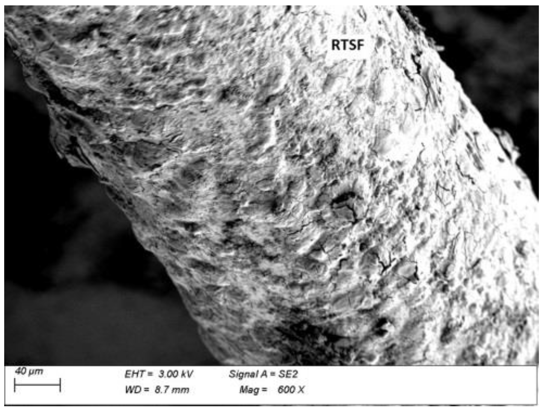 Materials 15 02444 g016