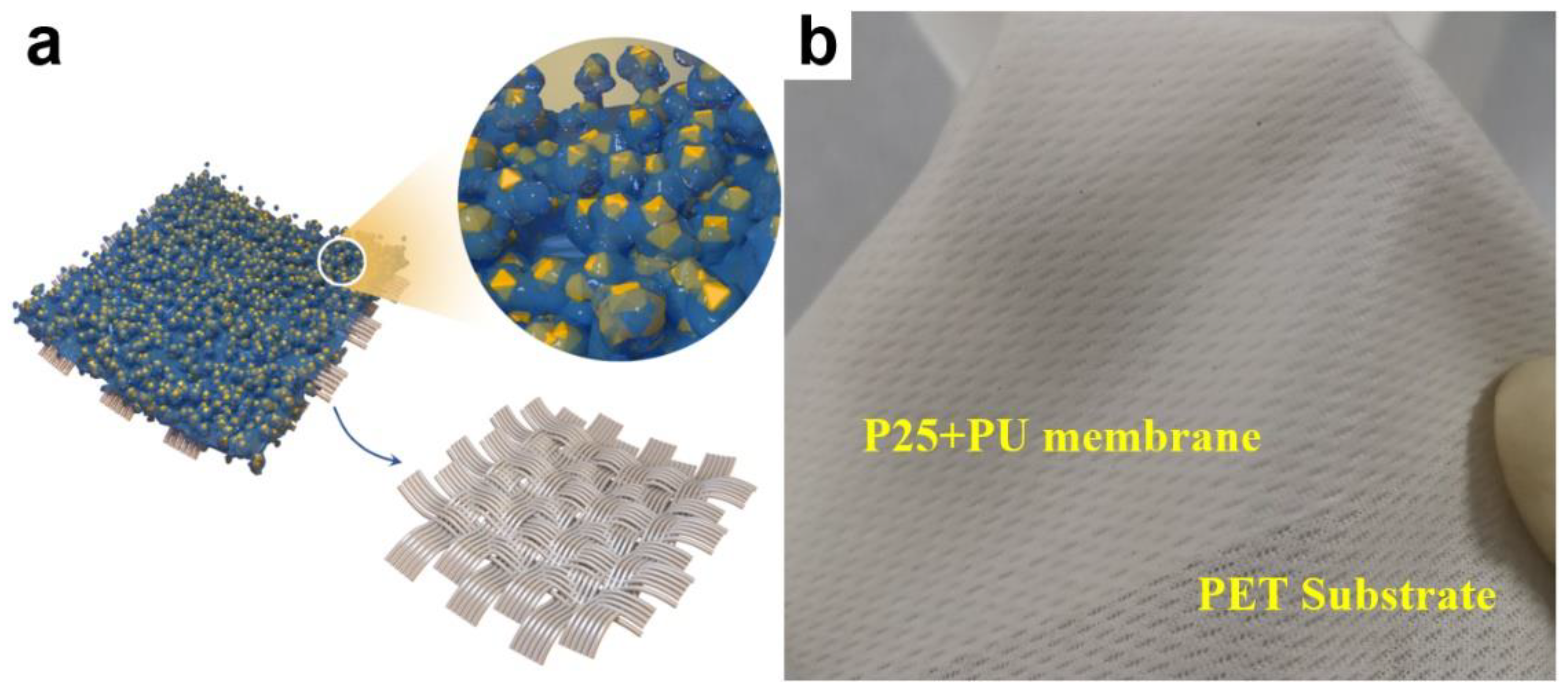 Materials 15 02466 g001a