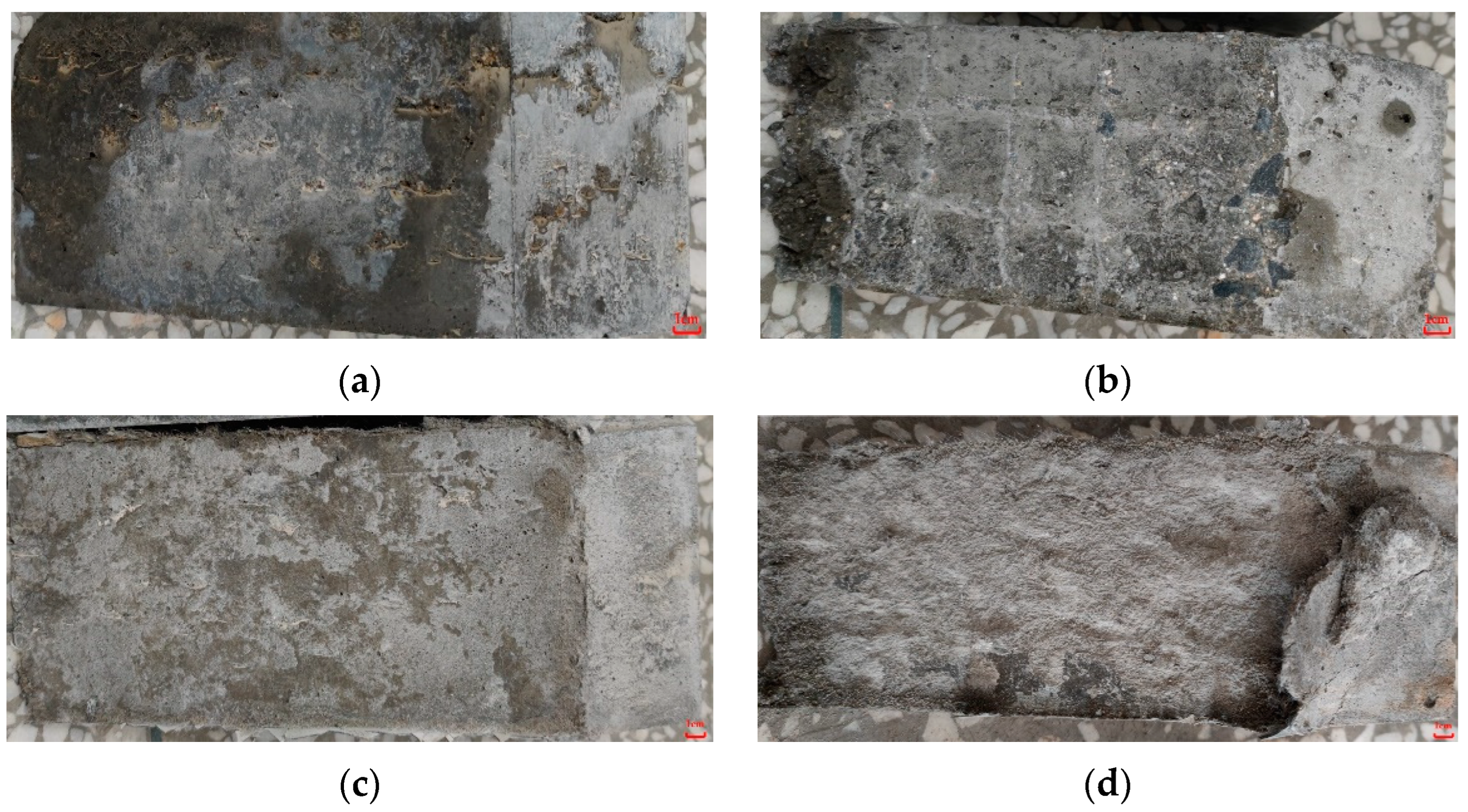 Materials 15 02474 g011 550