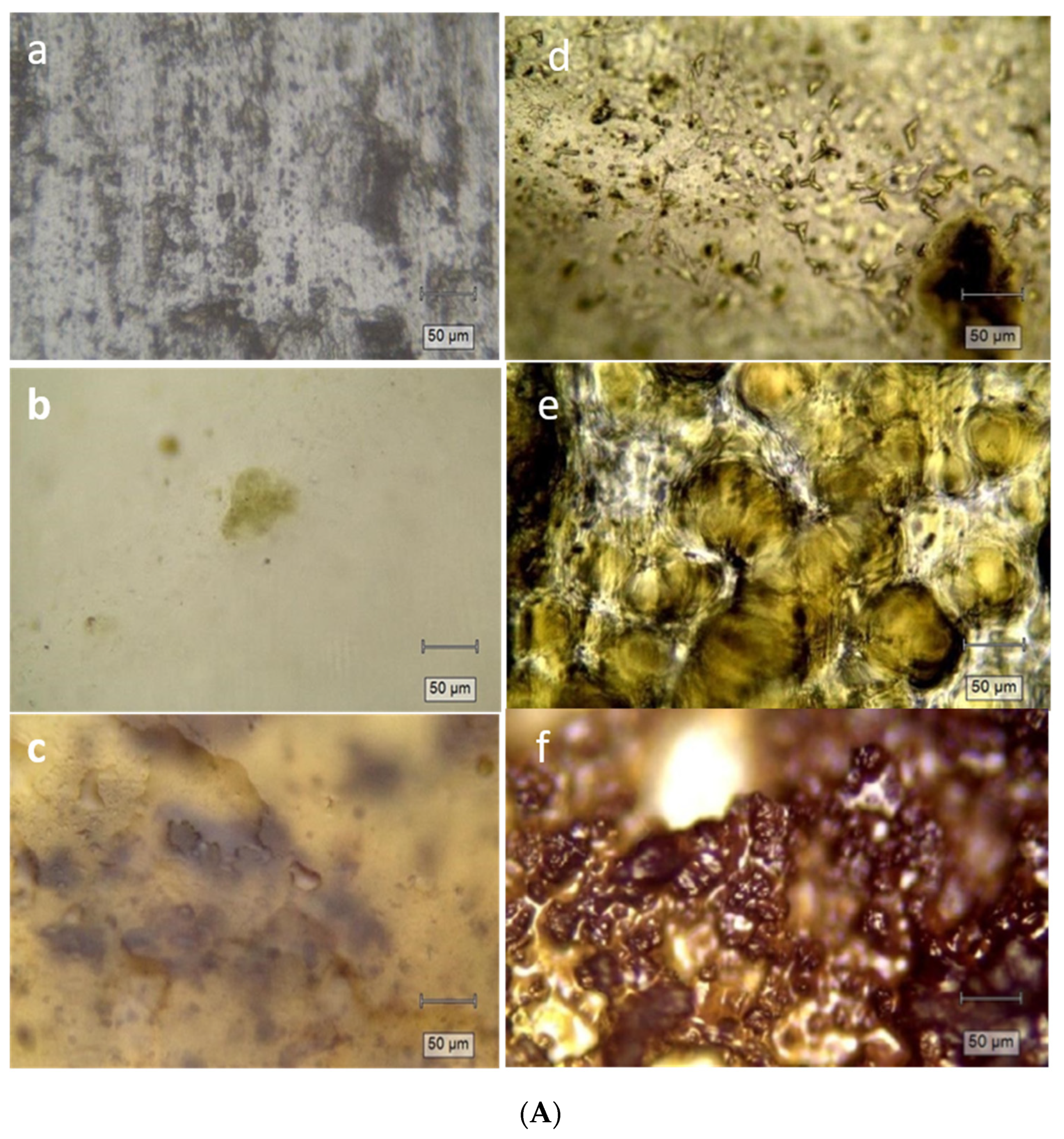 Materials 15 02493 g005a