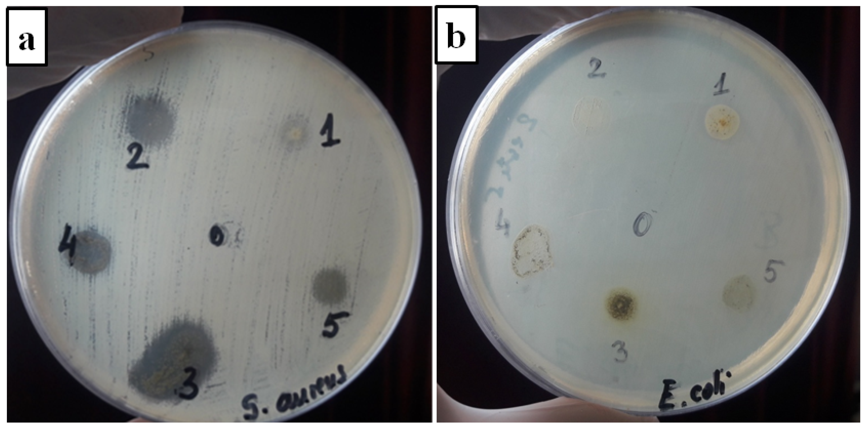 Materials 15 02493 g008