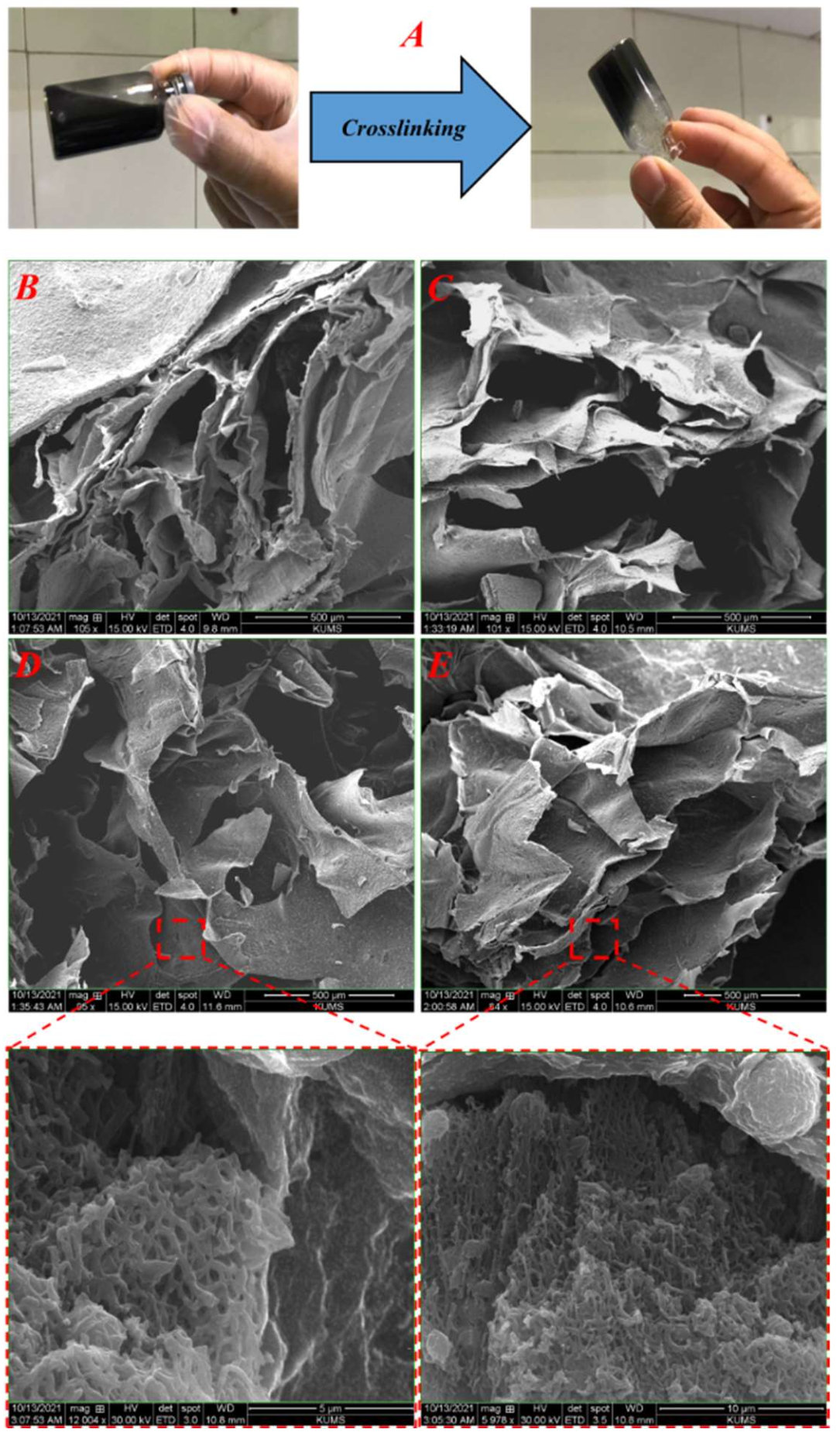 Materials 15 02494 g002 550