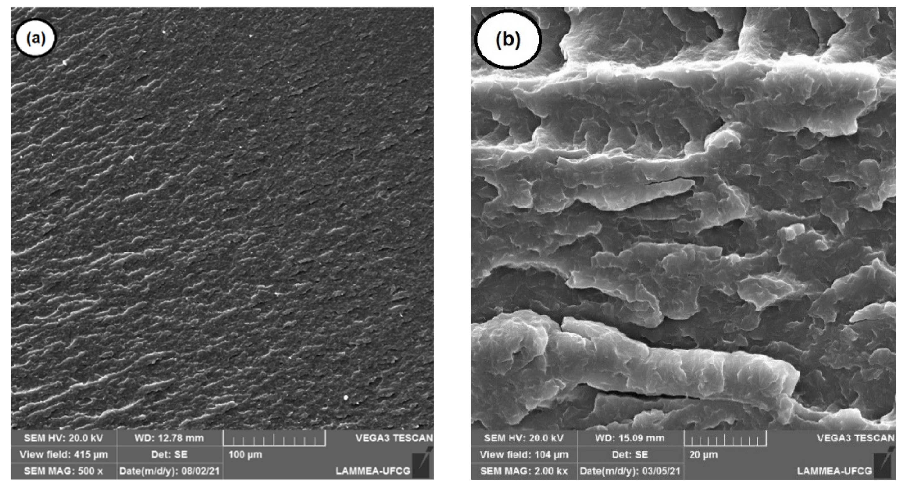 Materials 15 02502 g006