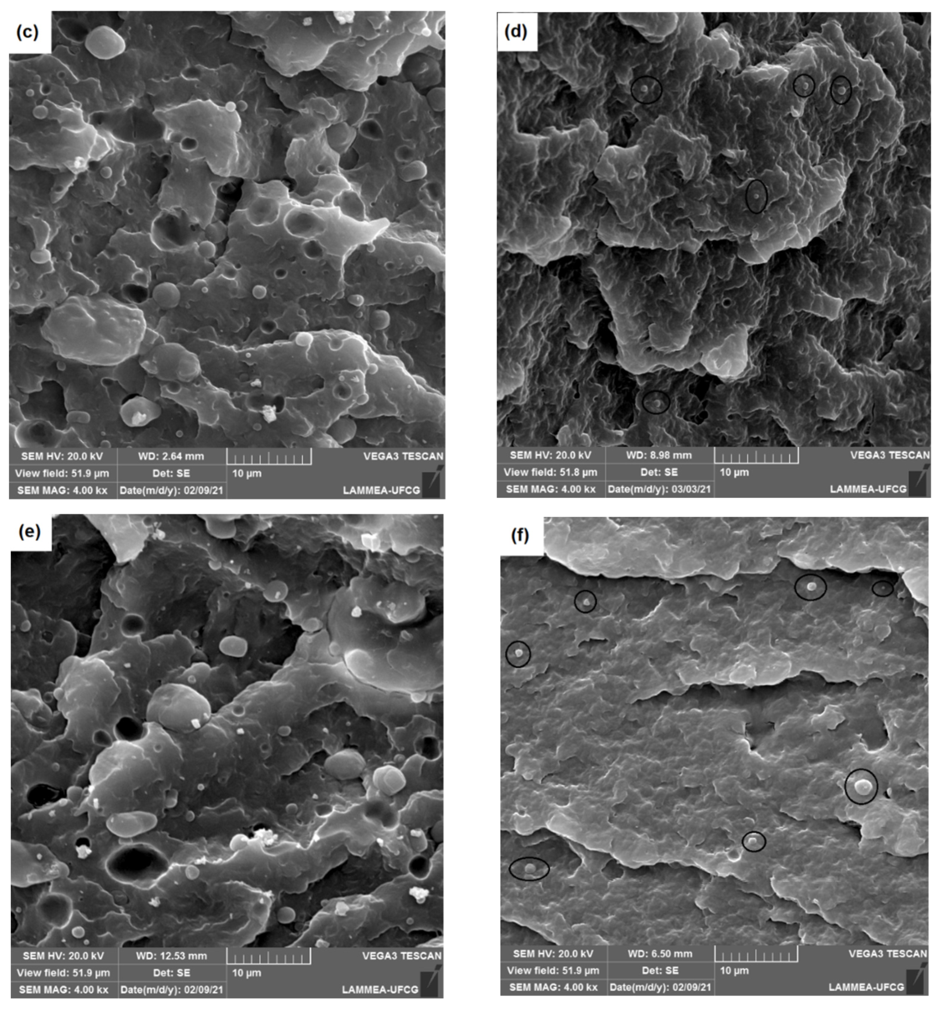 Materials 15 02502 g007b