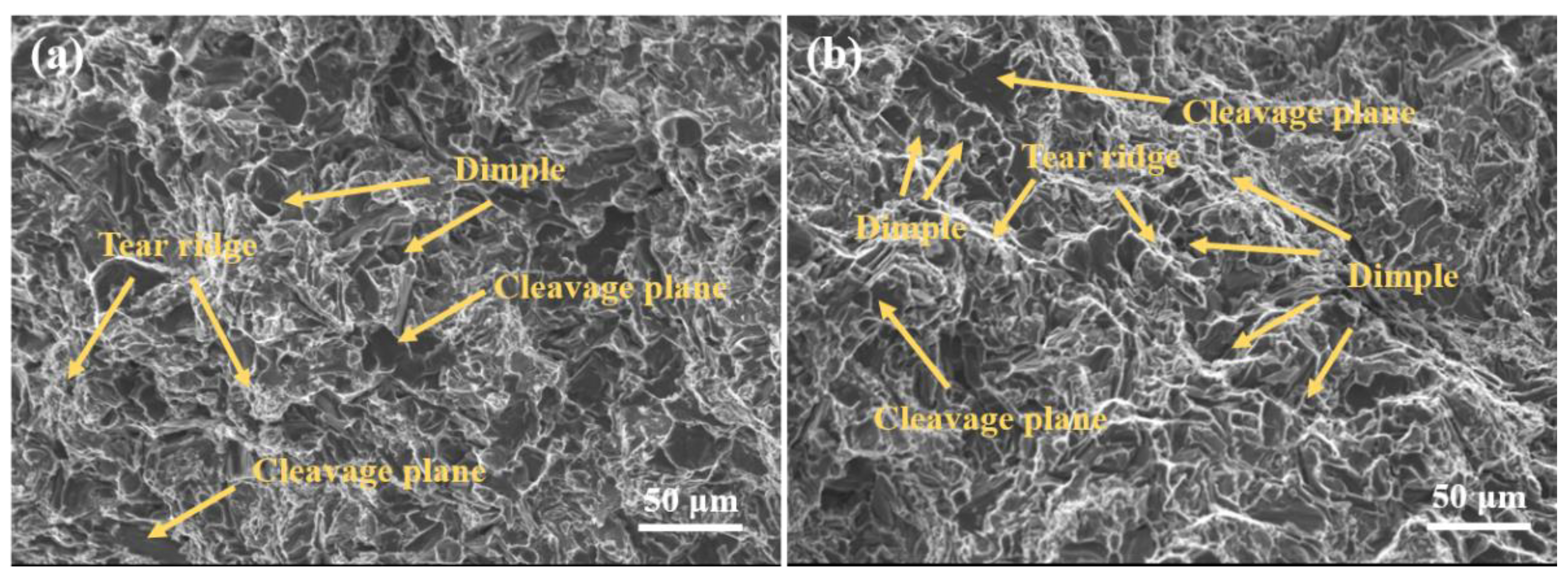 Materials 15 02507 g012 550