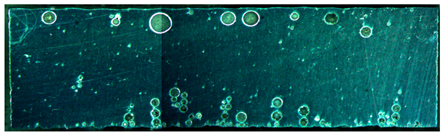 Materials 15 02513 i016