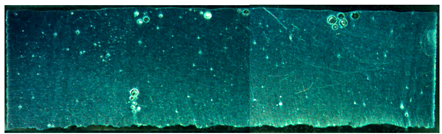 Materials 15 02513 i017