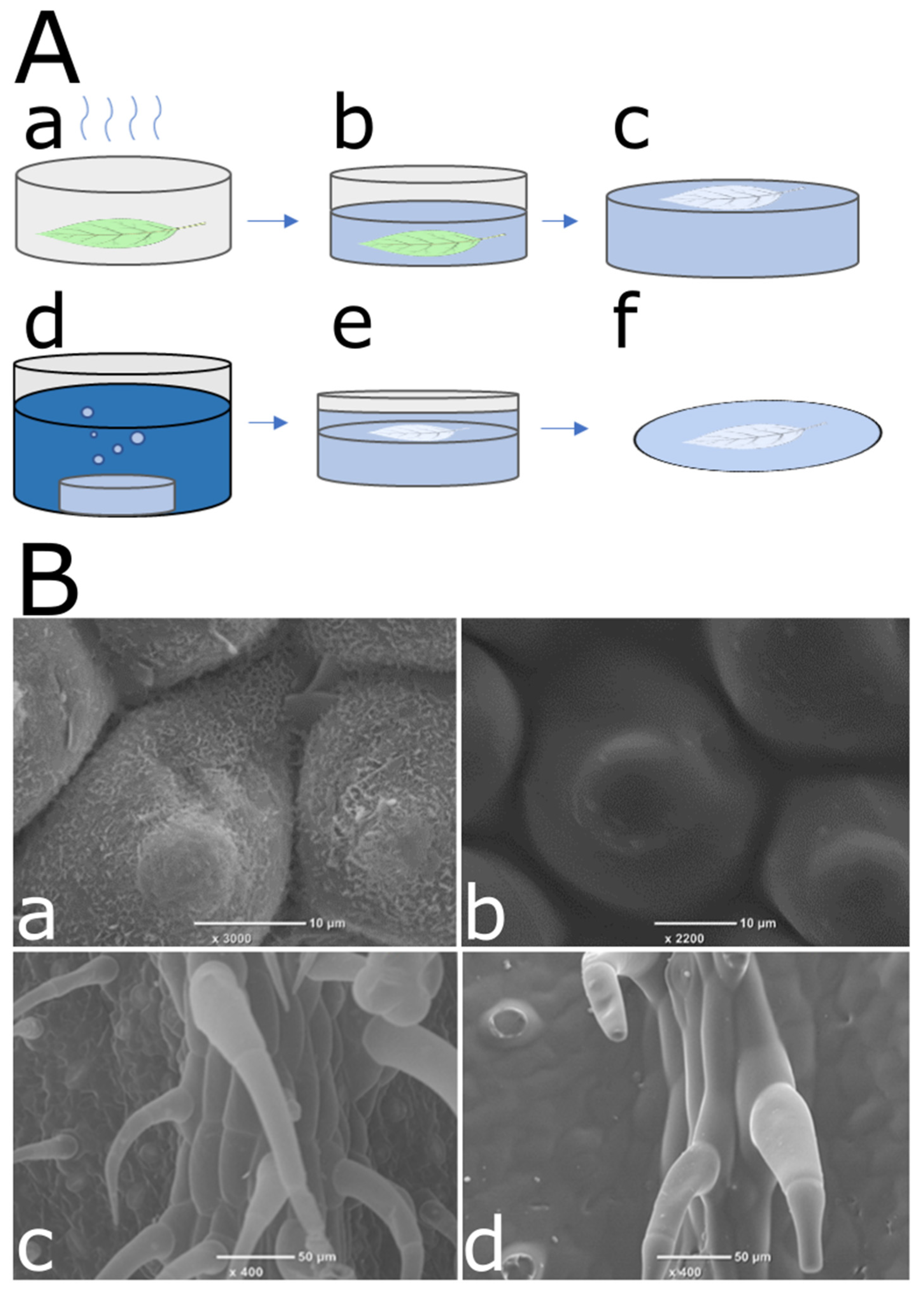 Materials 15 02526 g002