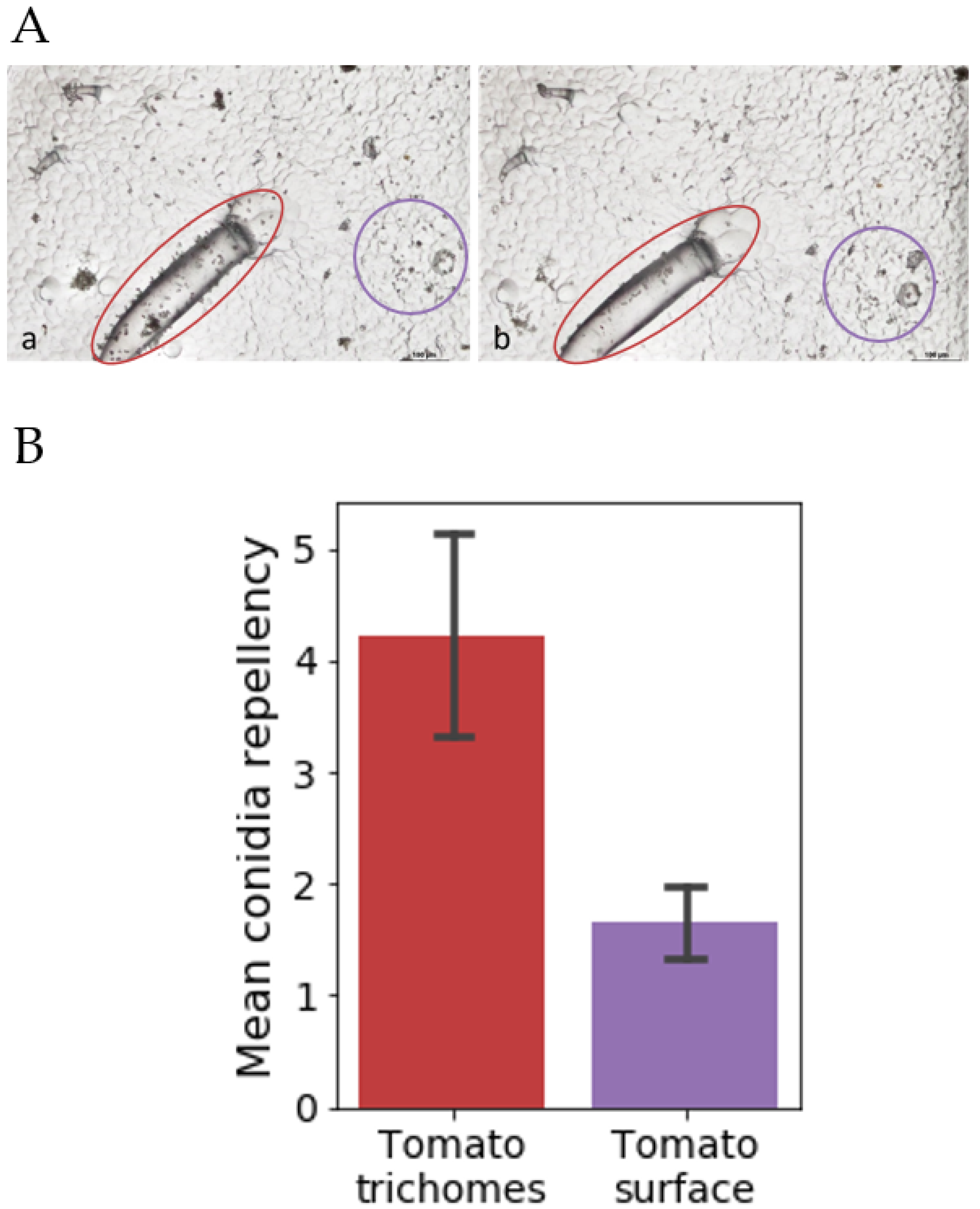 Materials 15 02526 g006
