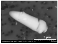 Materials 15 02530 i001