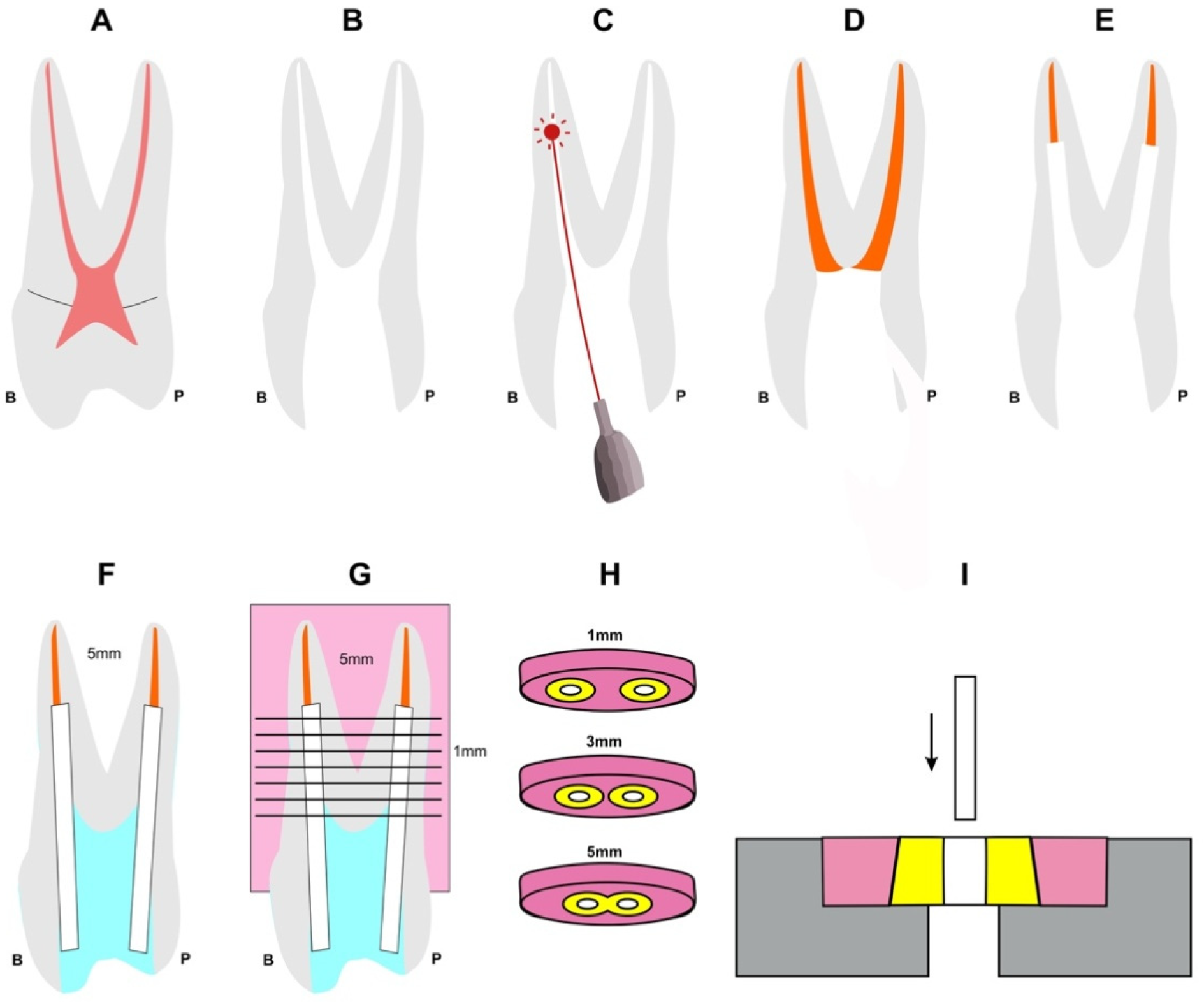 Materials 15 02531 g001