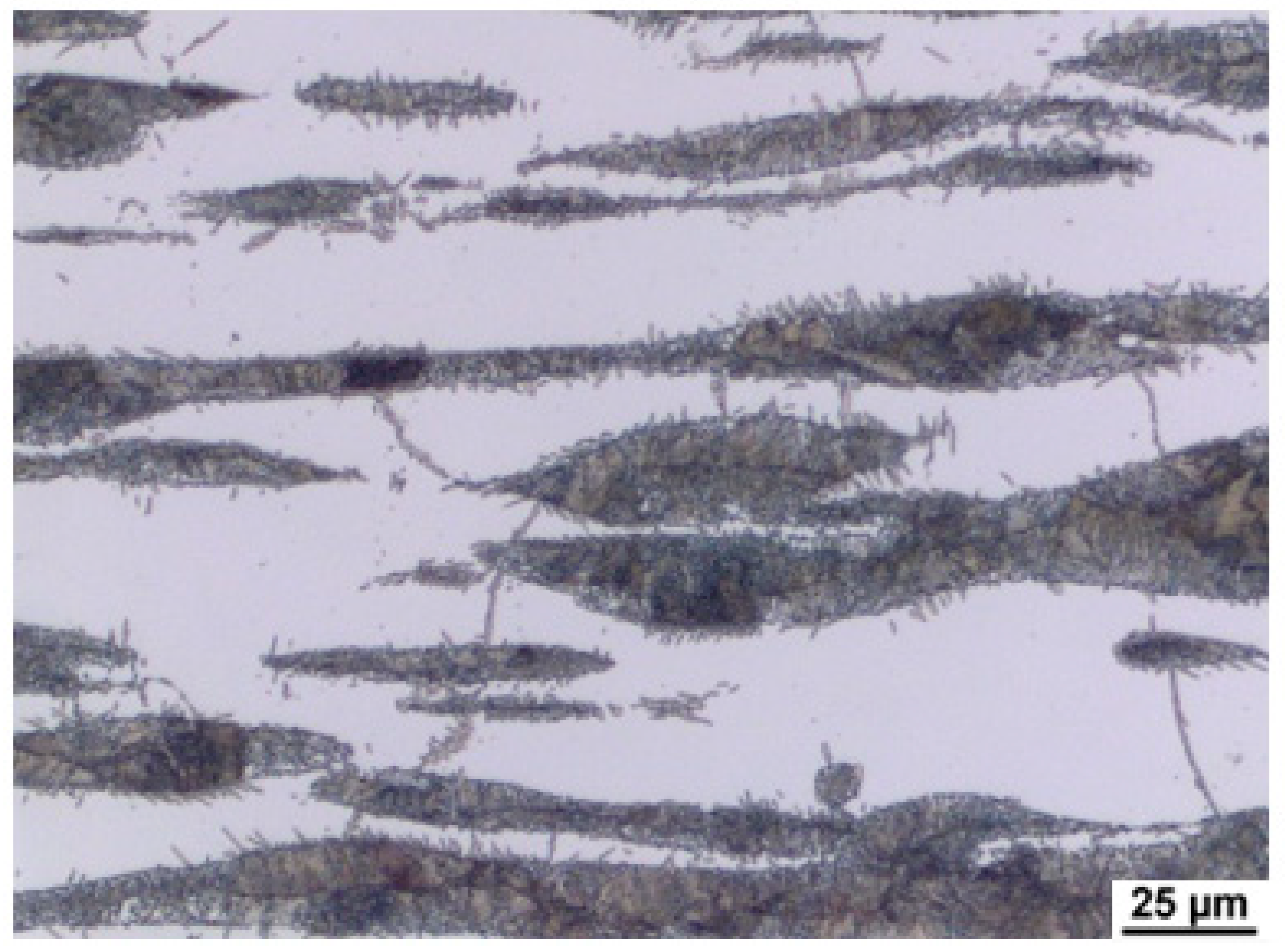 Materials 15 02539 g008 550