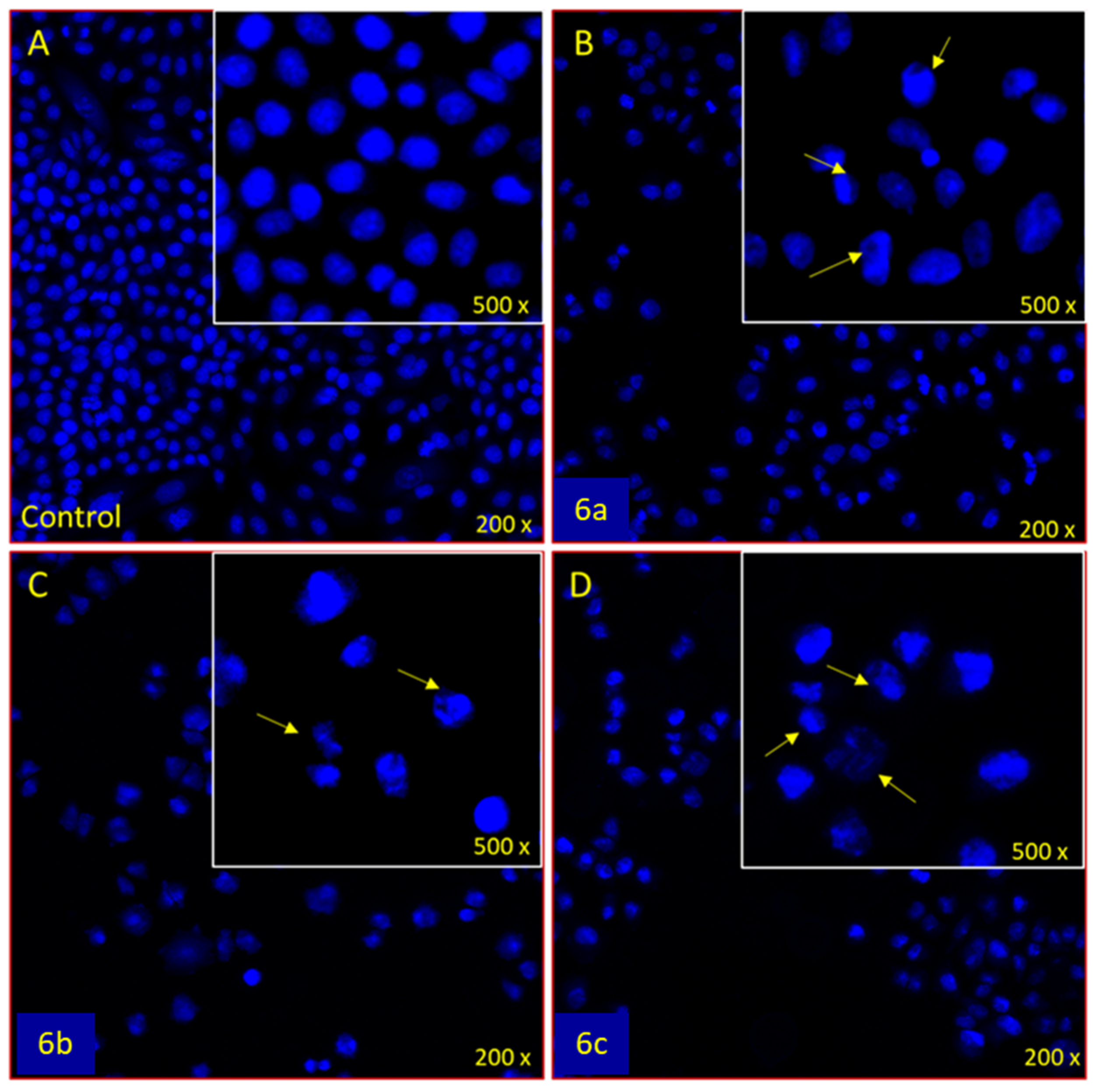 Materials 15 02544 g010 Materials 15 02544 g010