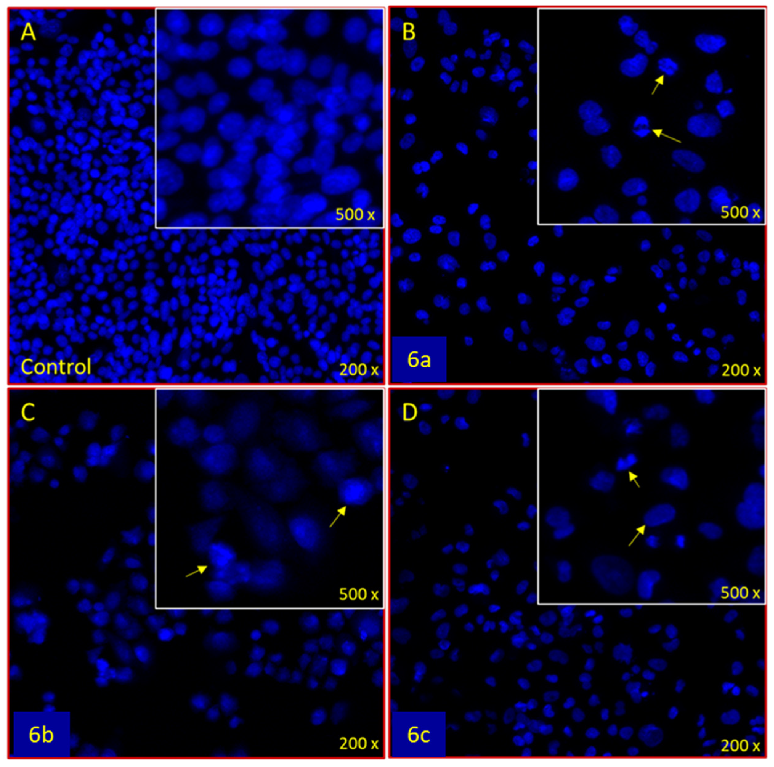 Materials 15 02544 g011 Materials 15 02544 g011