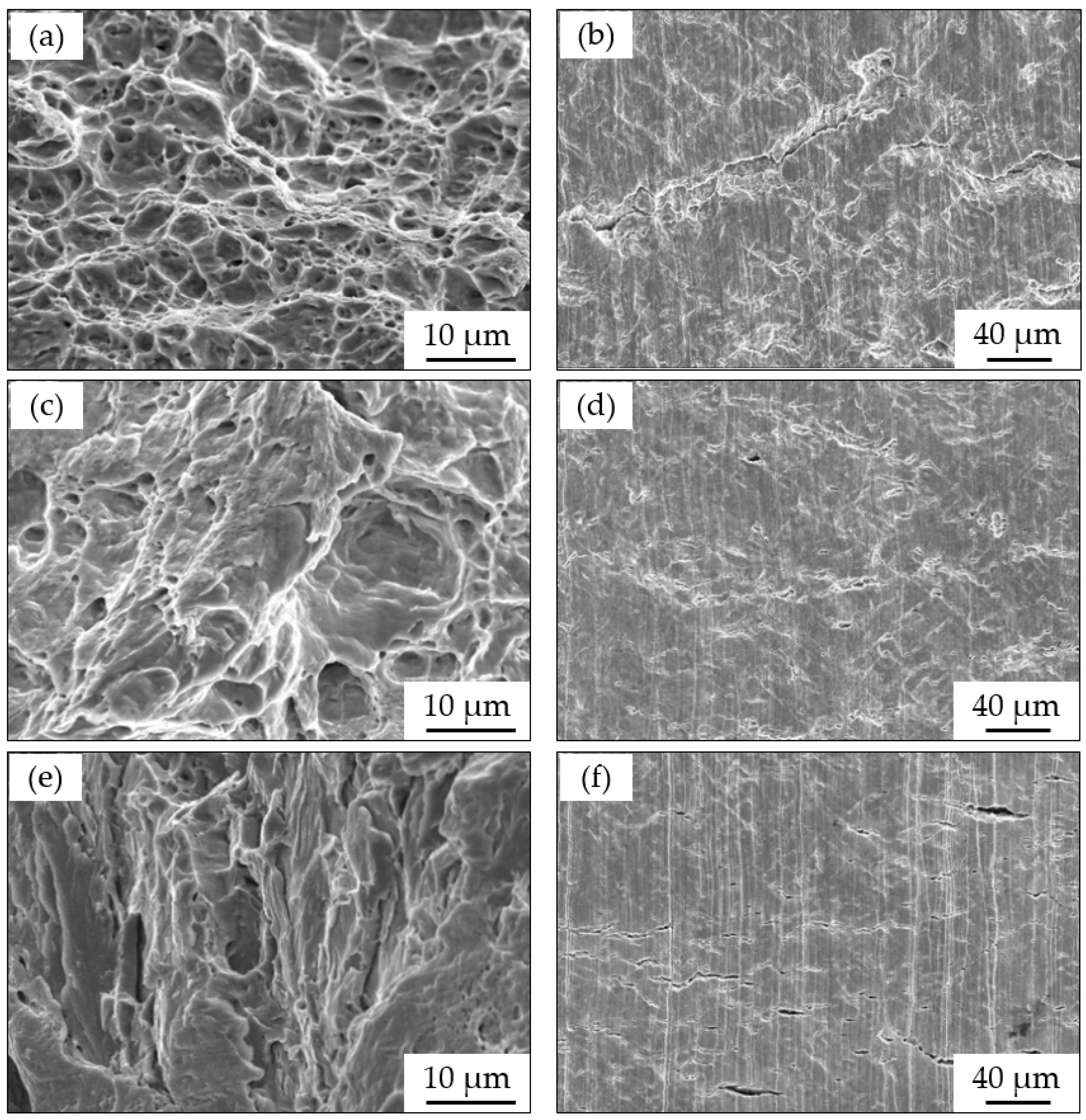 Materials 15 02560 g008