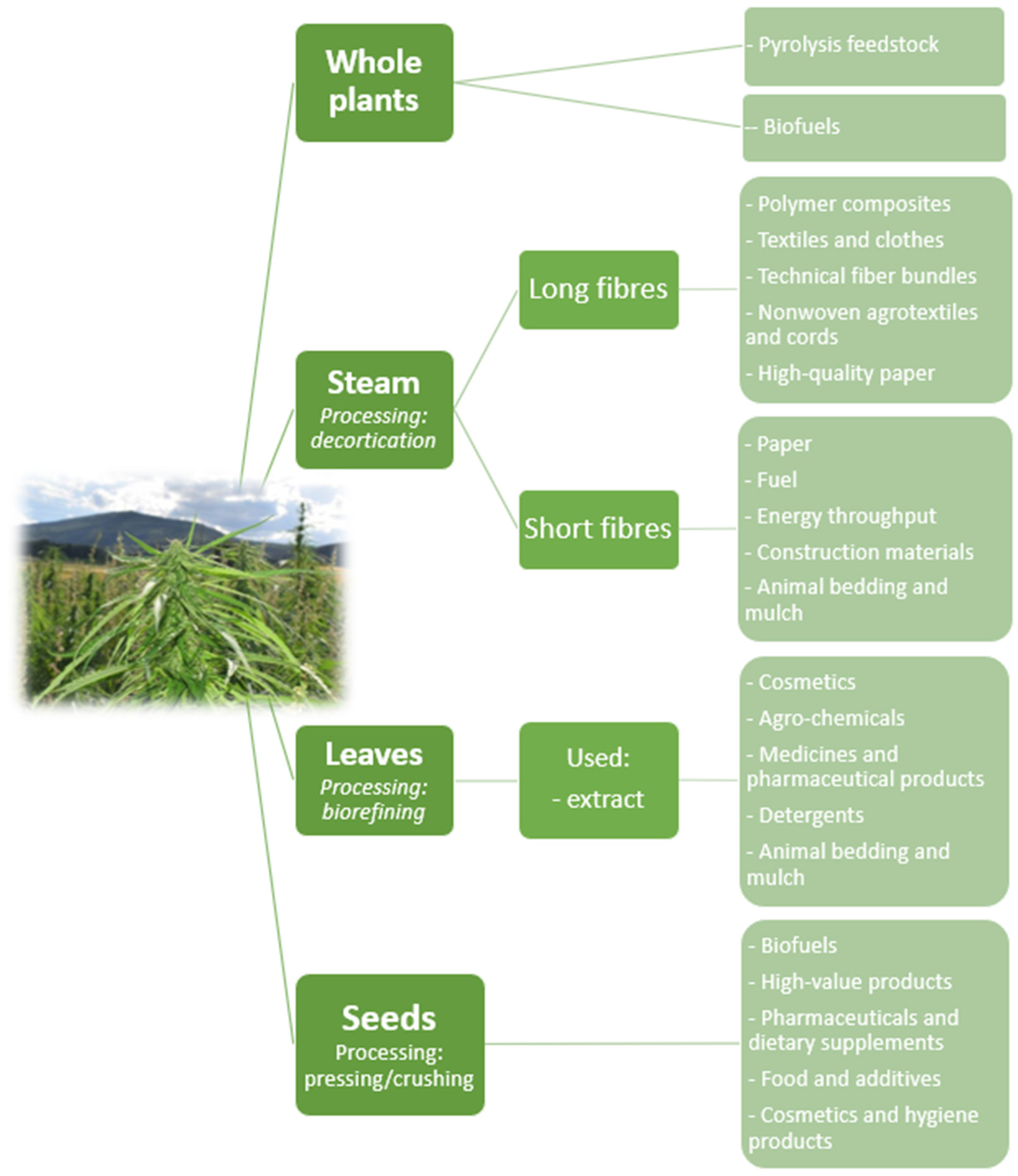 Materials 15 02565 g006 550