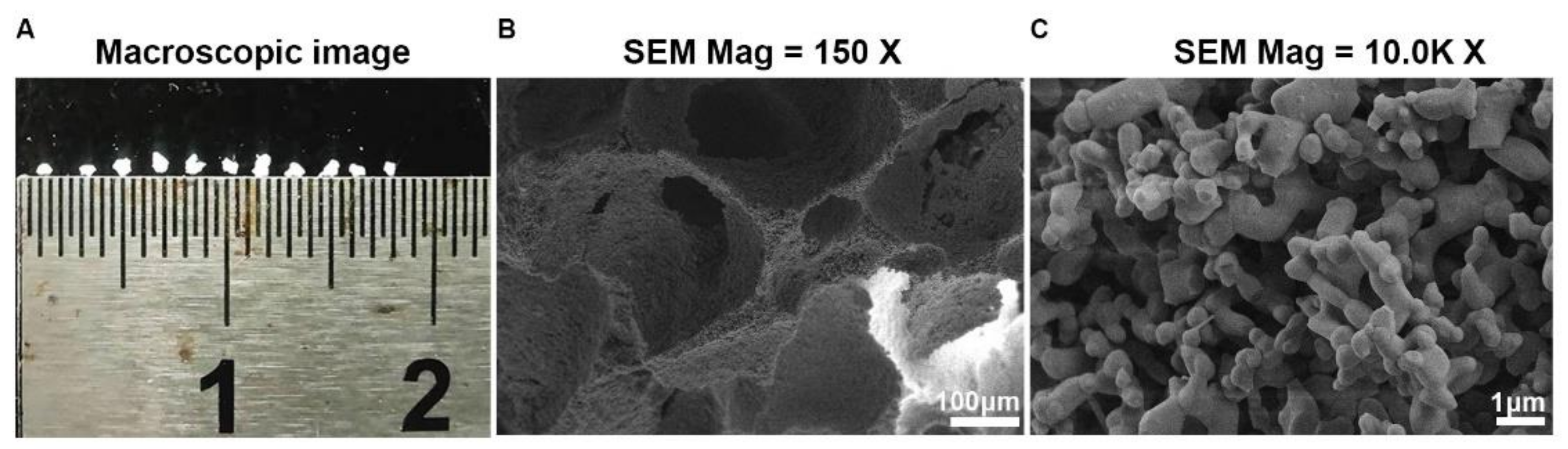 Materials 15 02569 g001 550