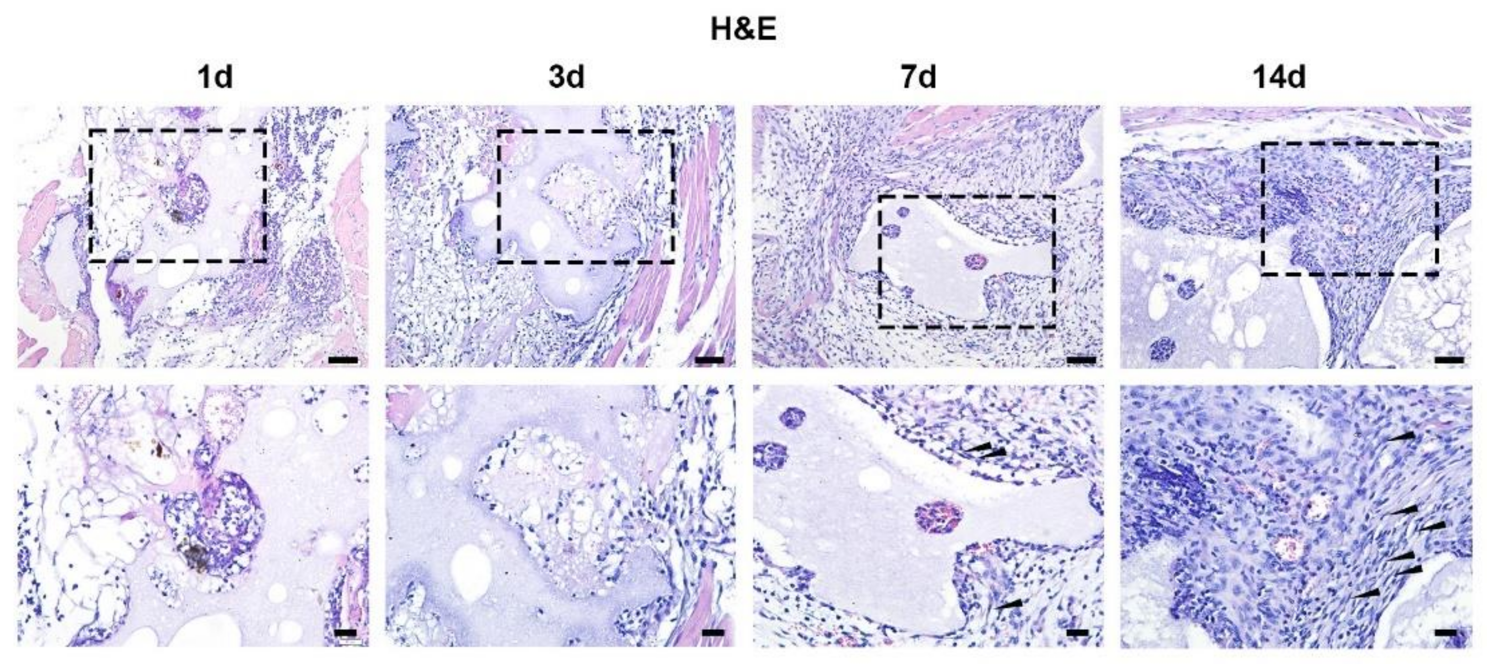 Materials 15 02569 g004 550