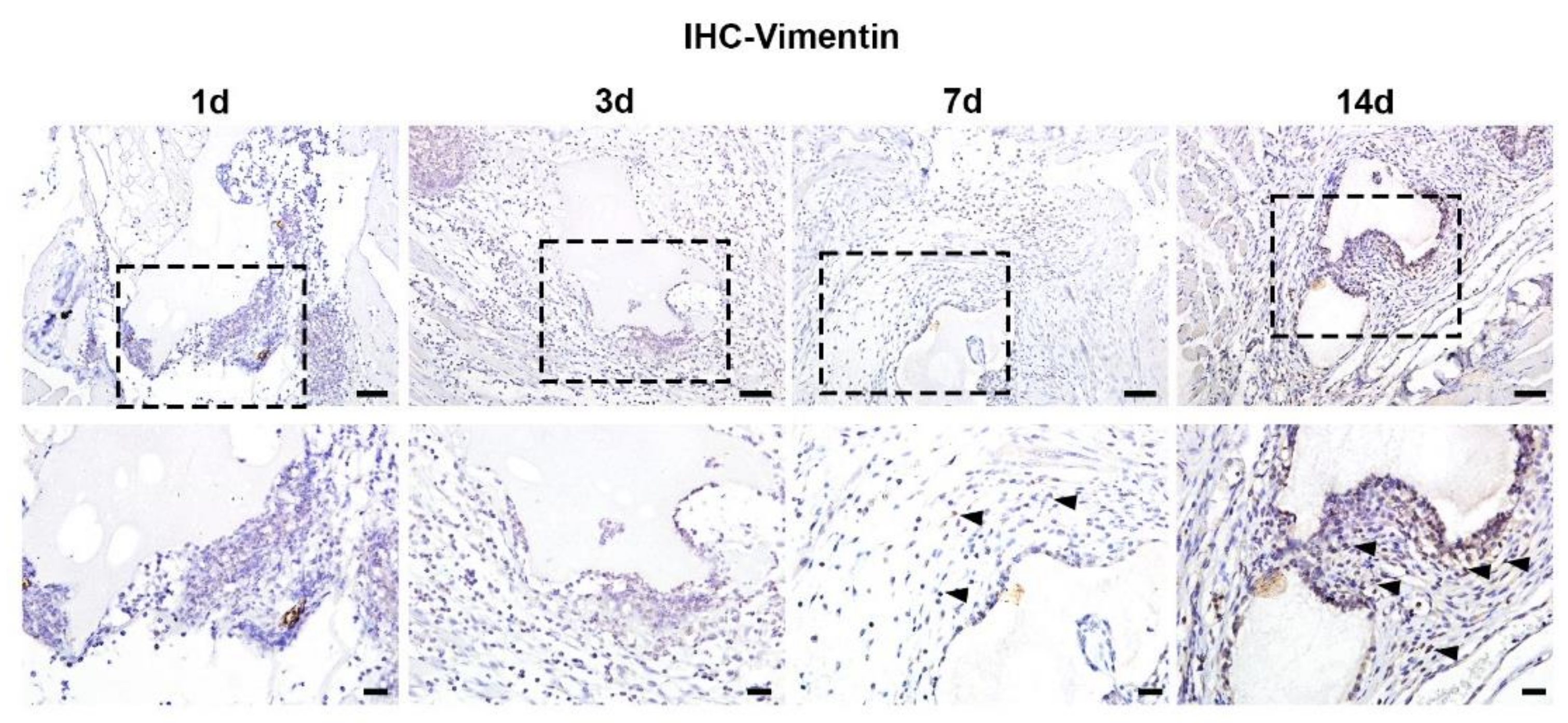 Materials 15 02569 g005 550