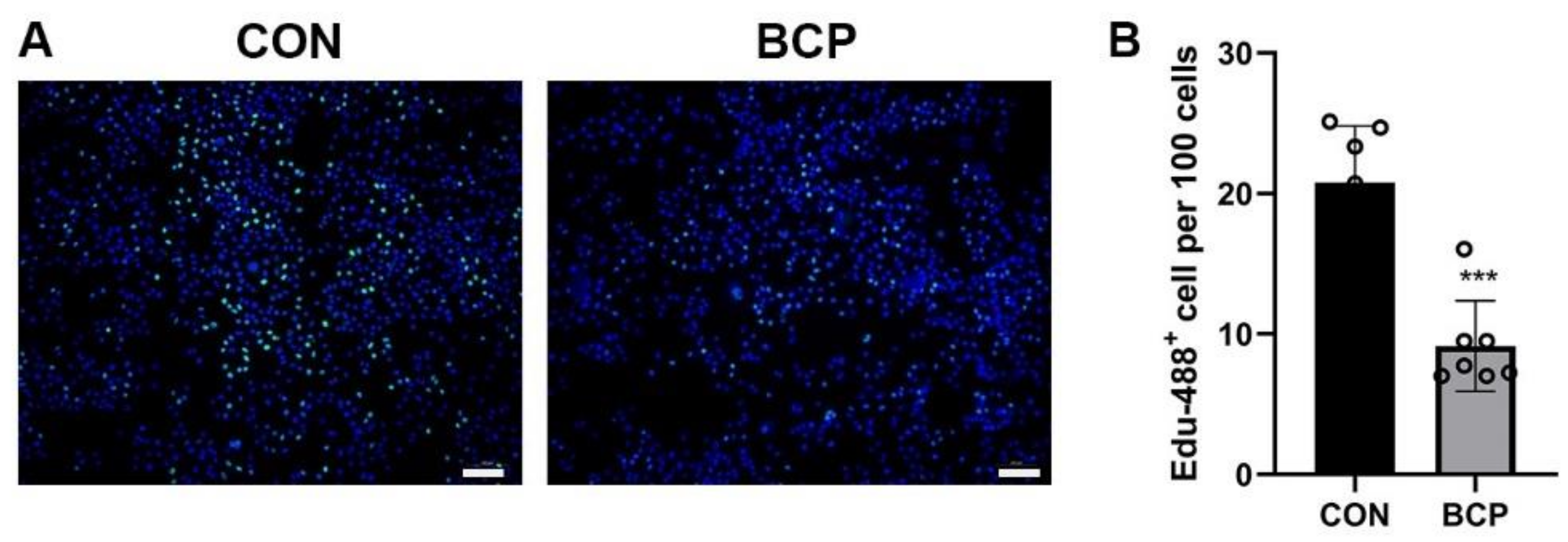 Materials 15 02569 g006 550