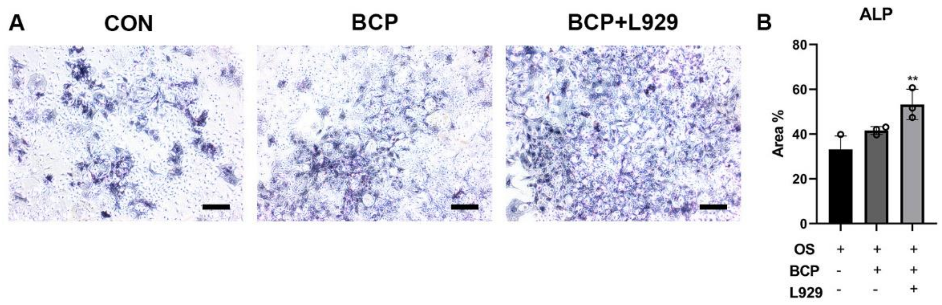 Materials 15 02569 g009 550