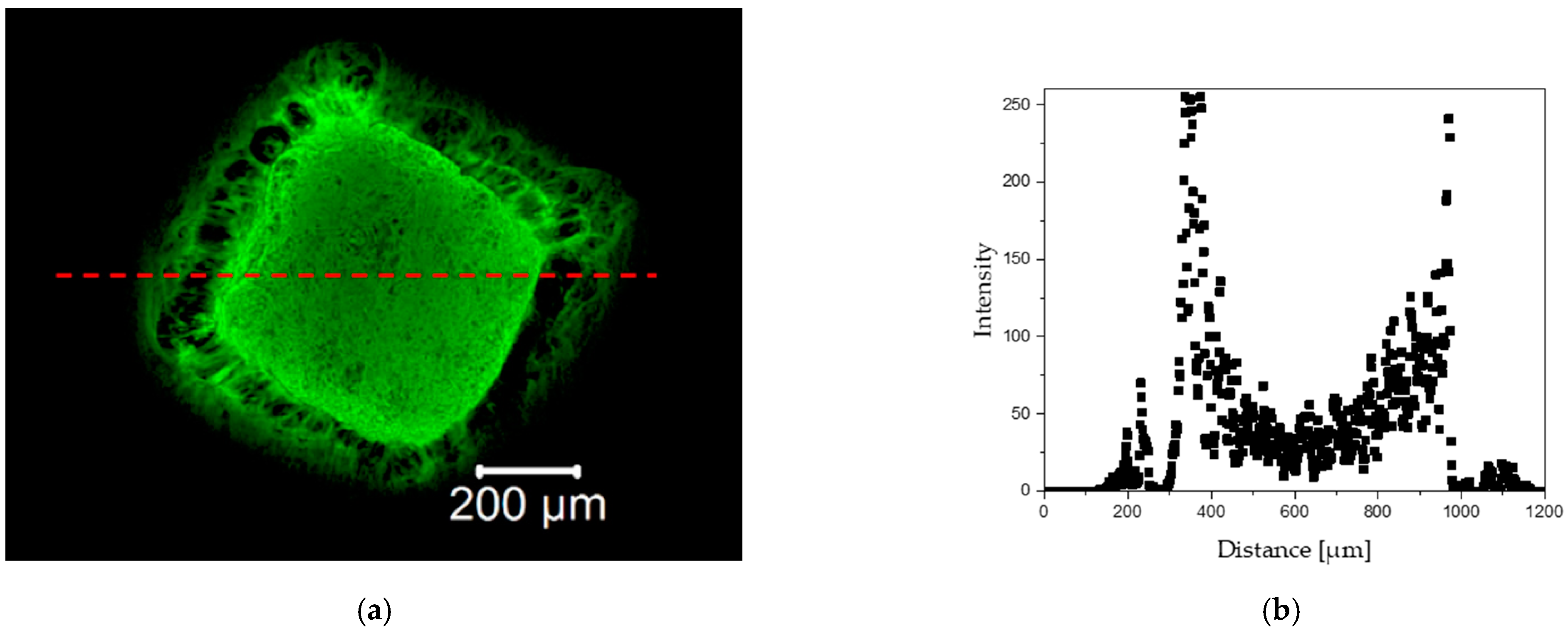 Materials 15 02594 g009 Materials 15 02594 g009