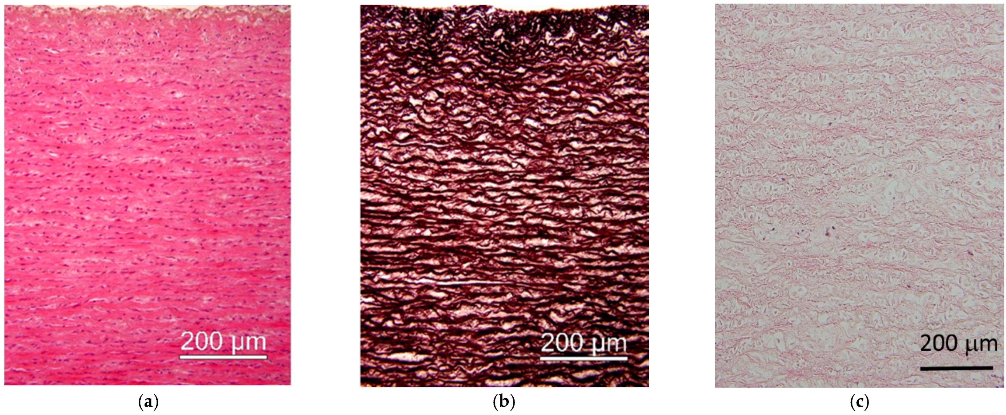 Materials 15 02594 g010 Materials 15 02594 g010