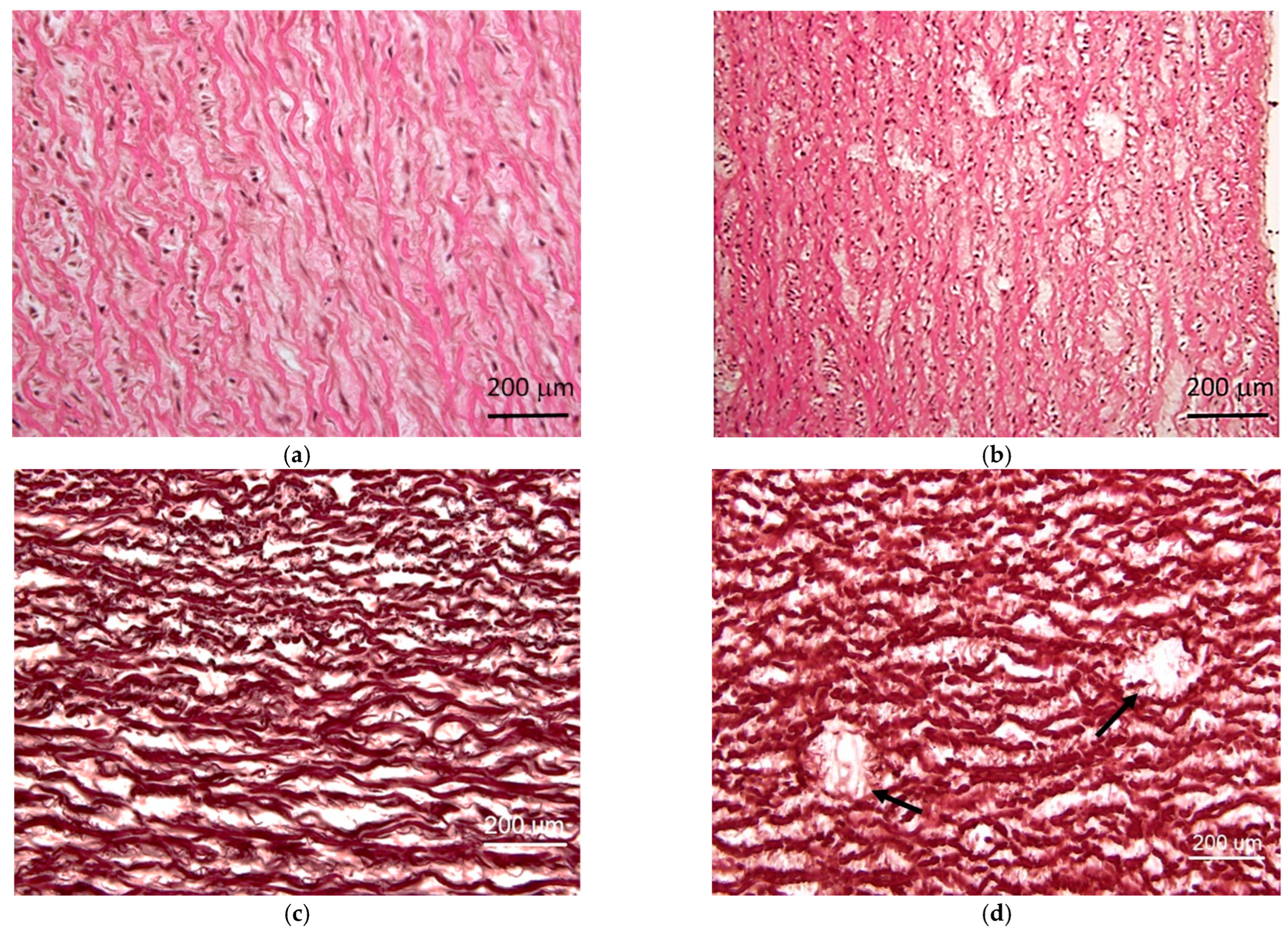 Materials 15 02594 g011 Materials 15 02594 g011