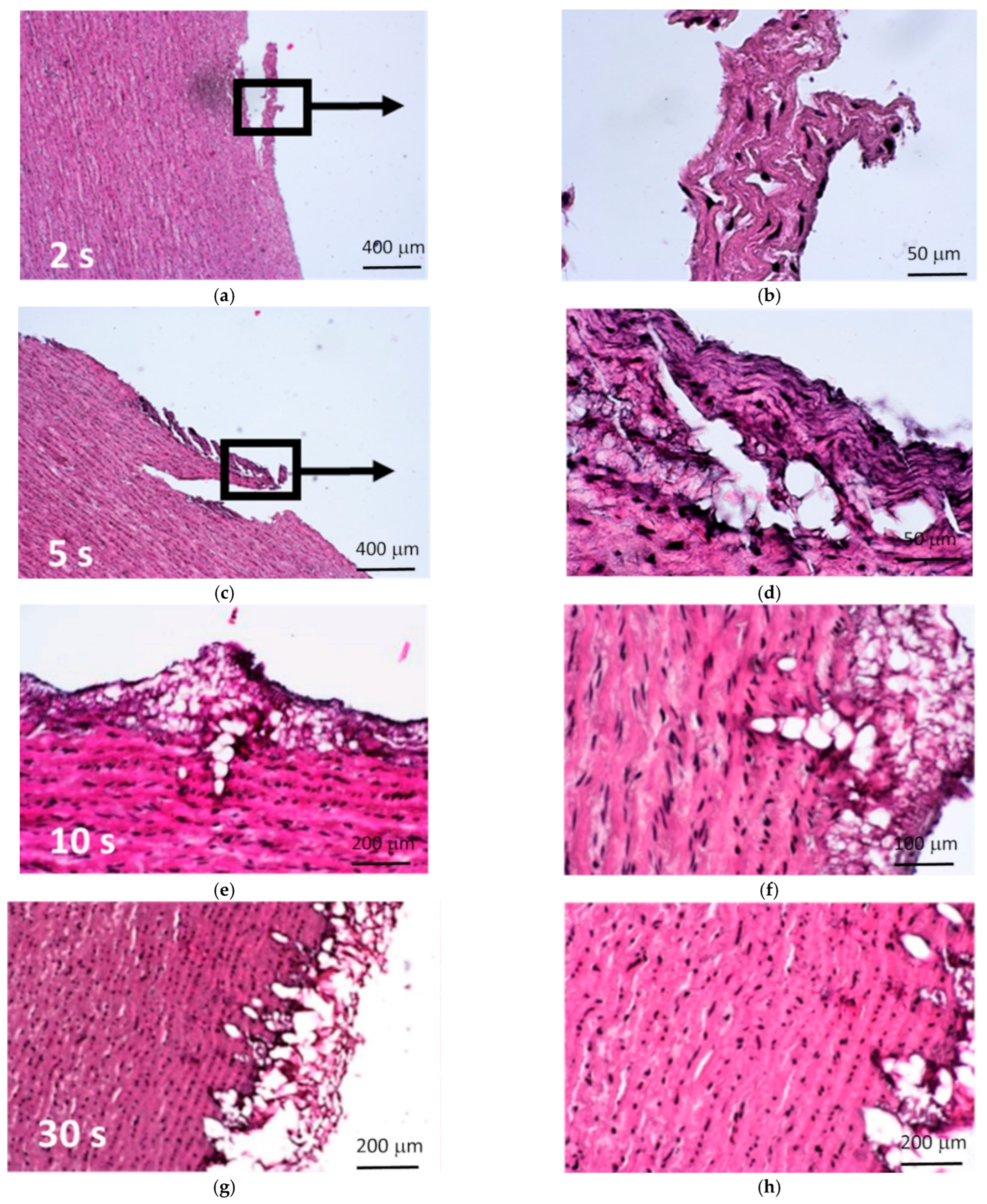 Materials 15 02594 g012a Materials 15 02594 g012a