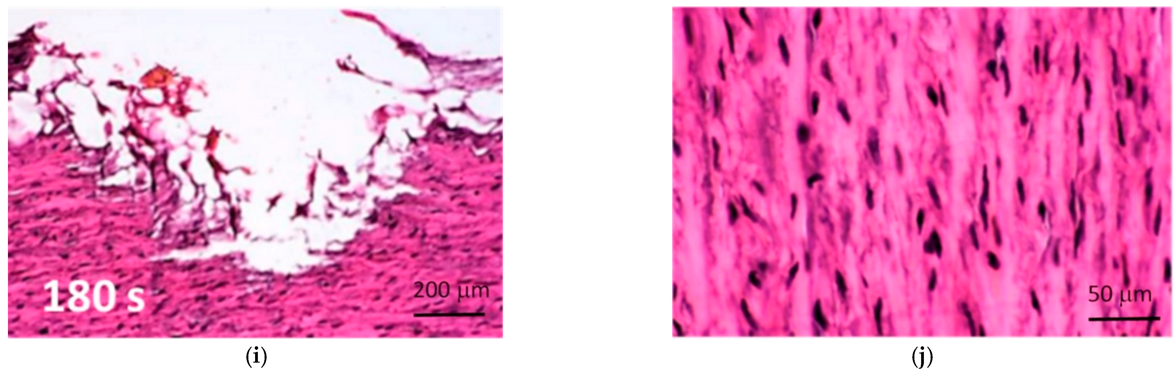 Materials 15 02594 g012b Materials 15 02594 g012b