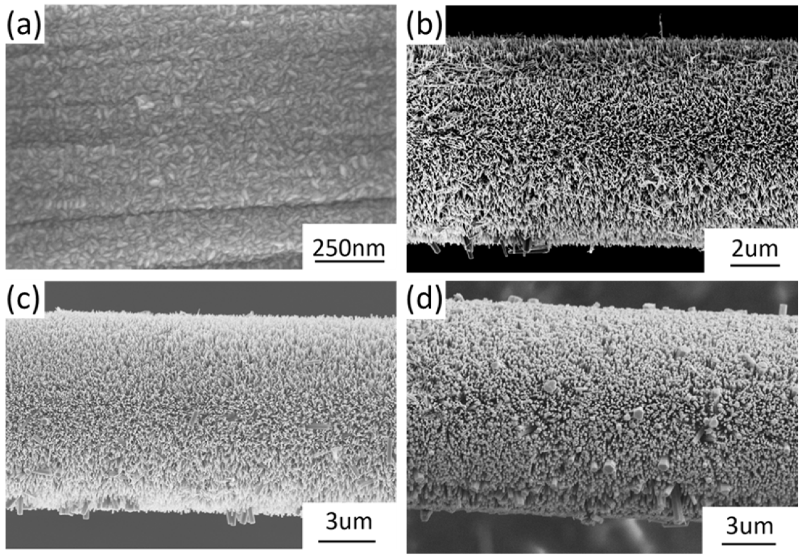 Materials 15 02618 g001