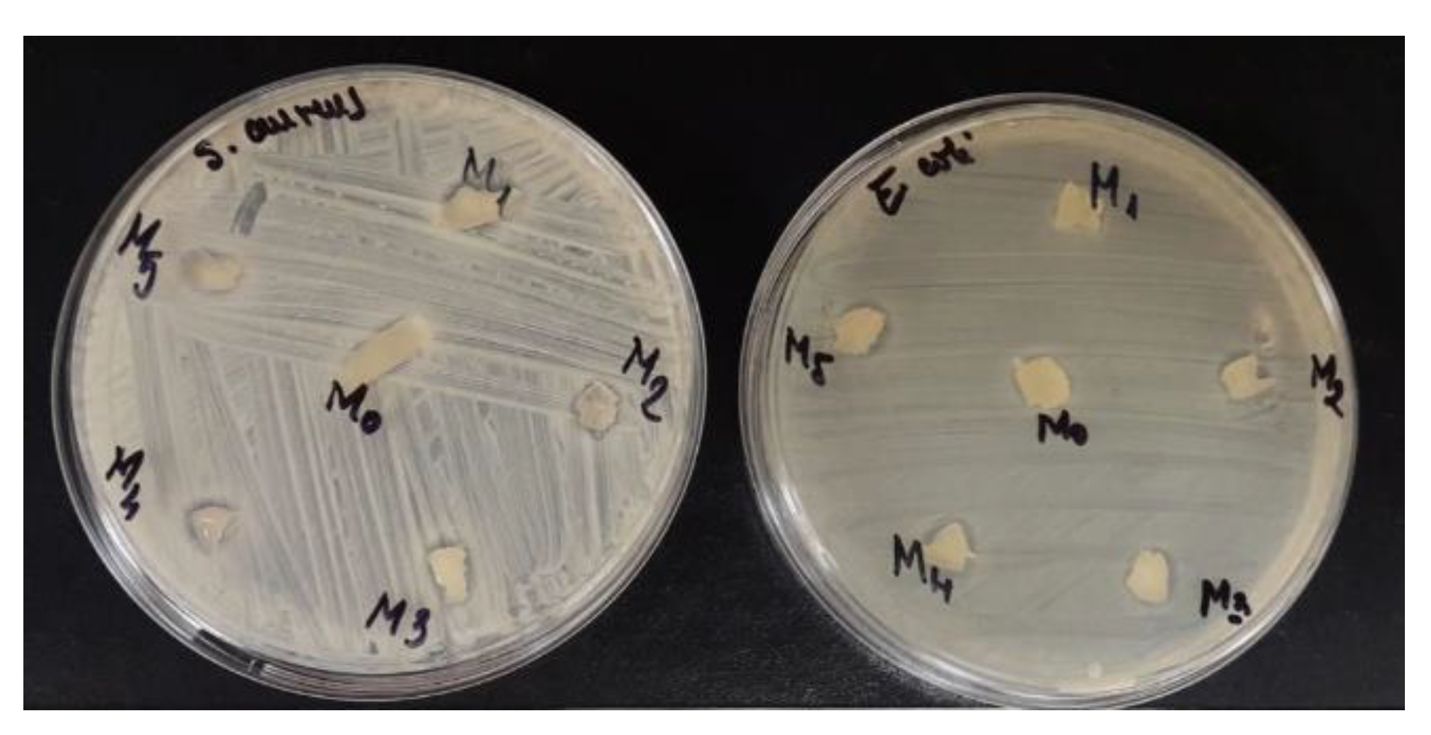 Materials 15 02657 g010