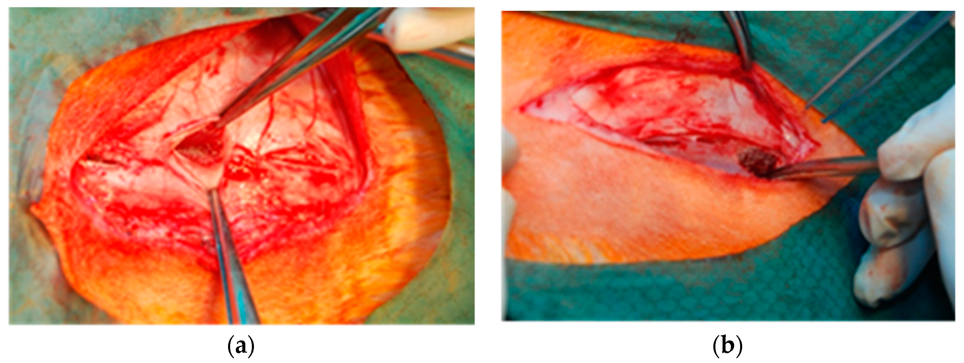 Materials 15 02671 g003