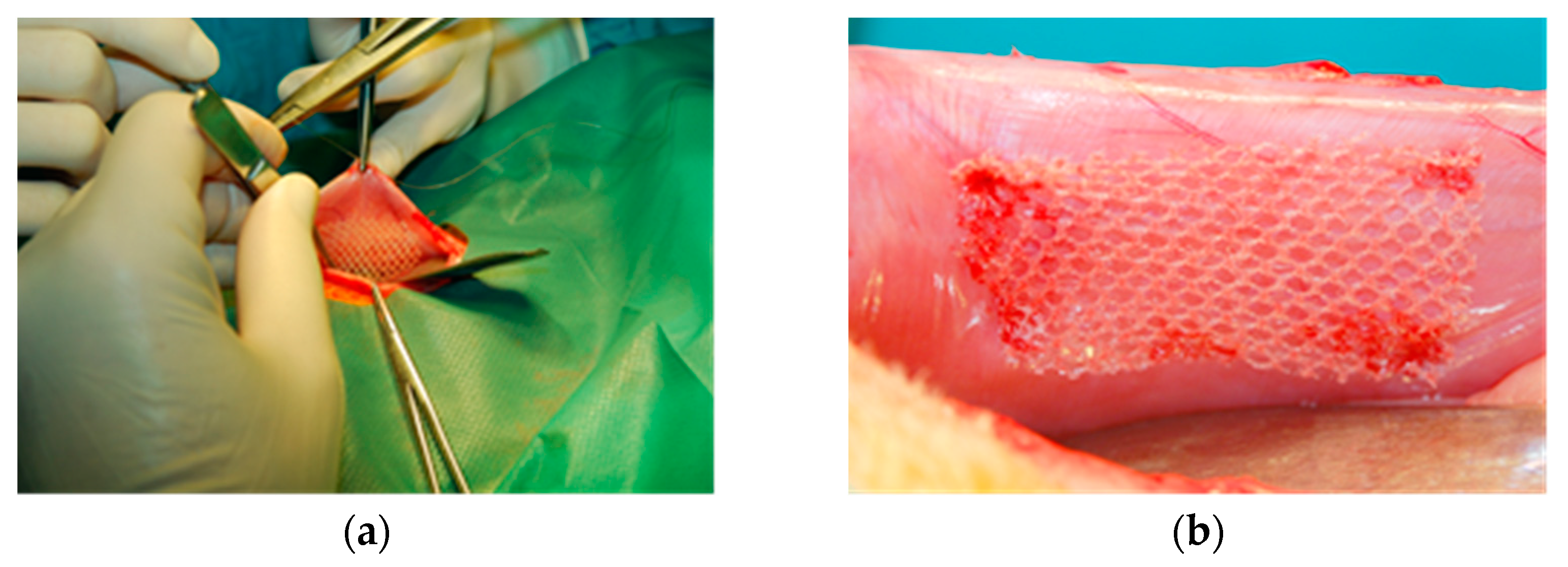 Materials 15 02671 g004