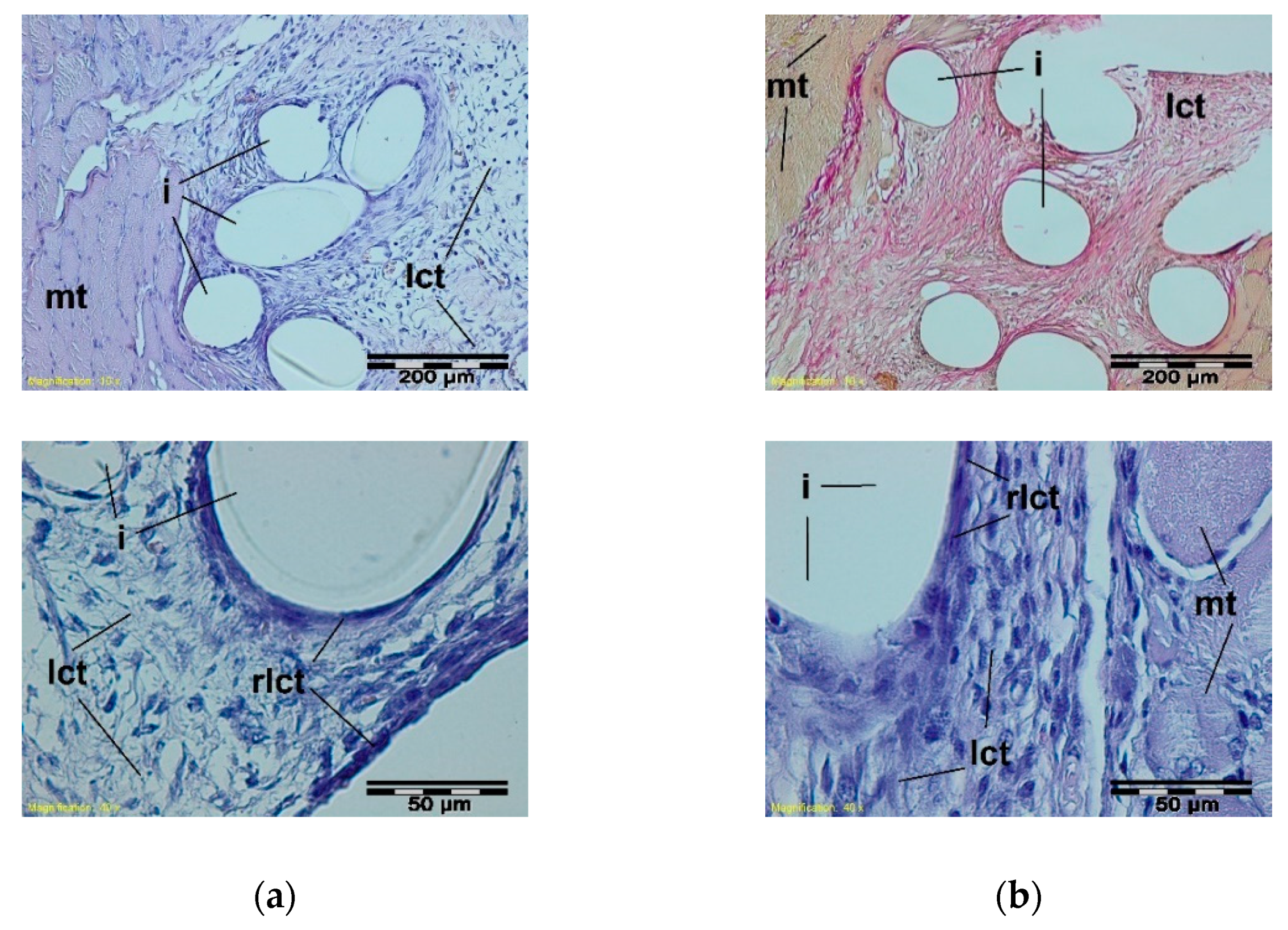 Materials 15 02671 g006